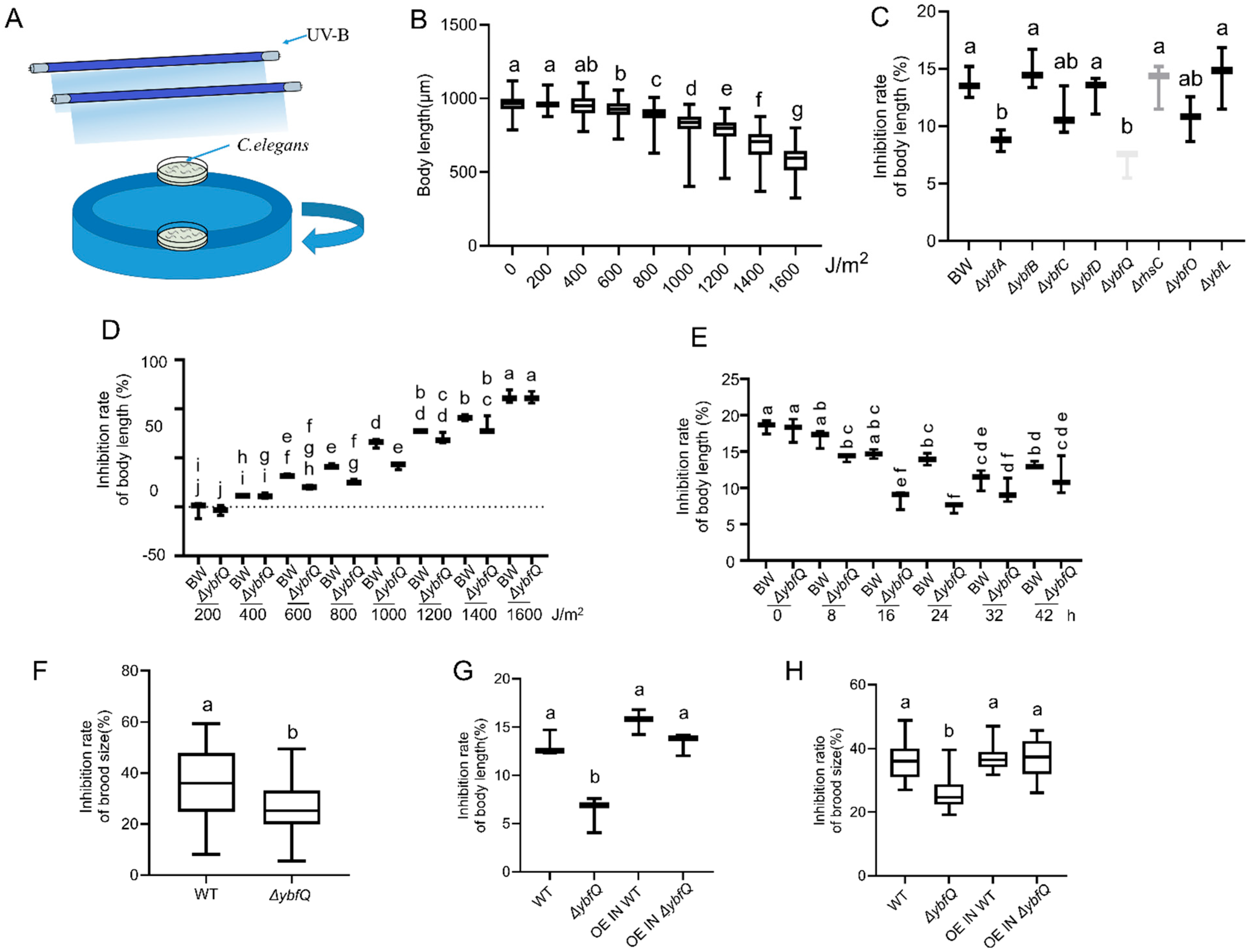 Microorganisms 13 02626 g001