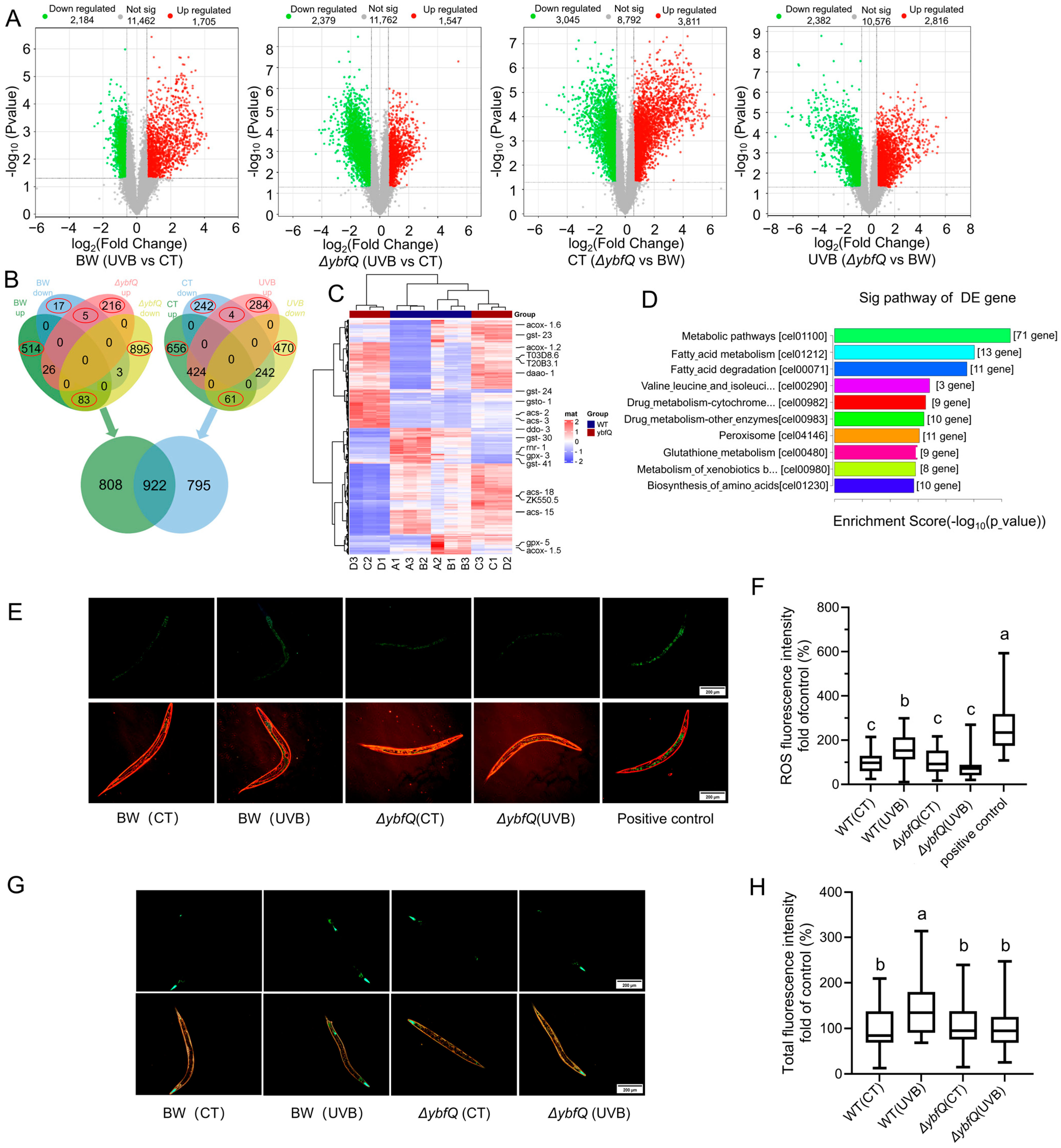 Microorganisms 13 02626 g002