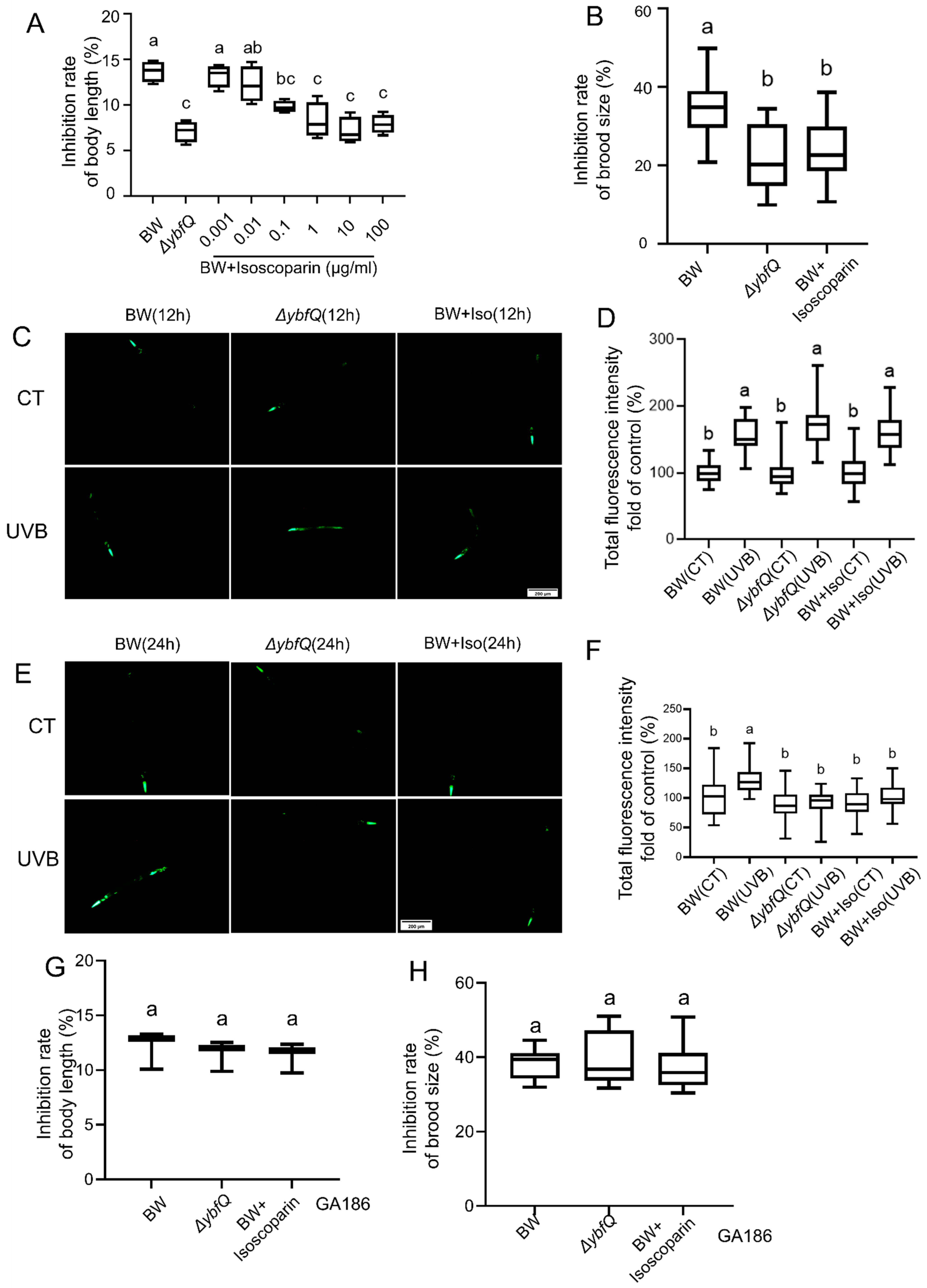 Microorganisms 13 02626 g005