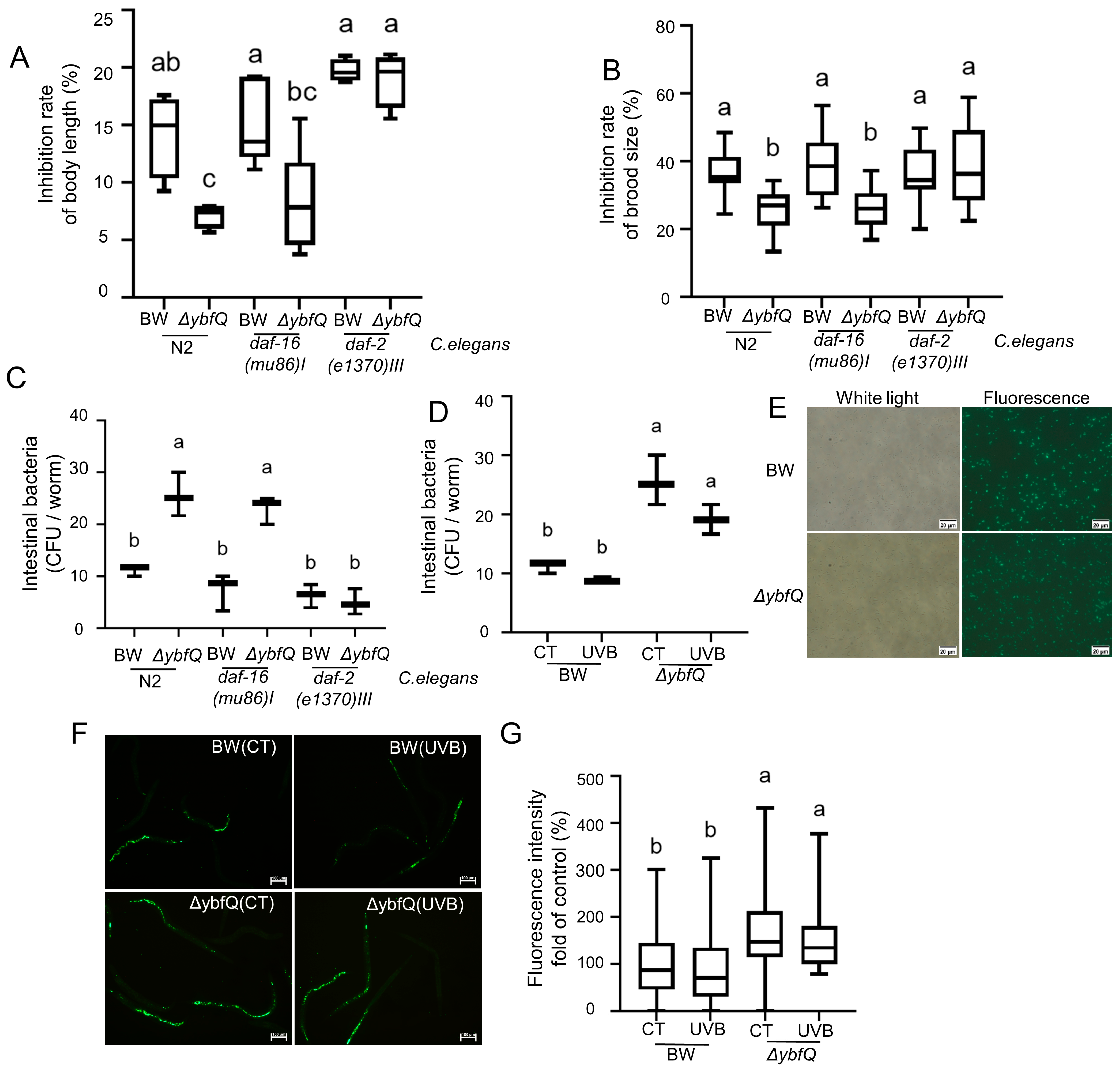 Microorganisms 13 02626 g007