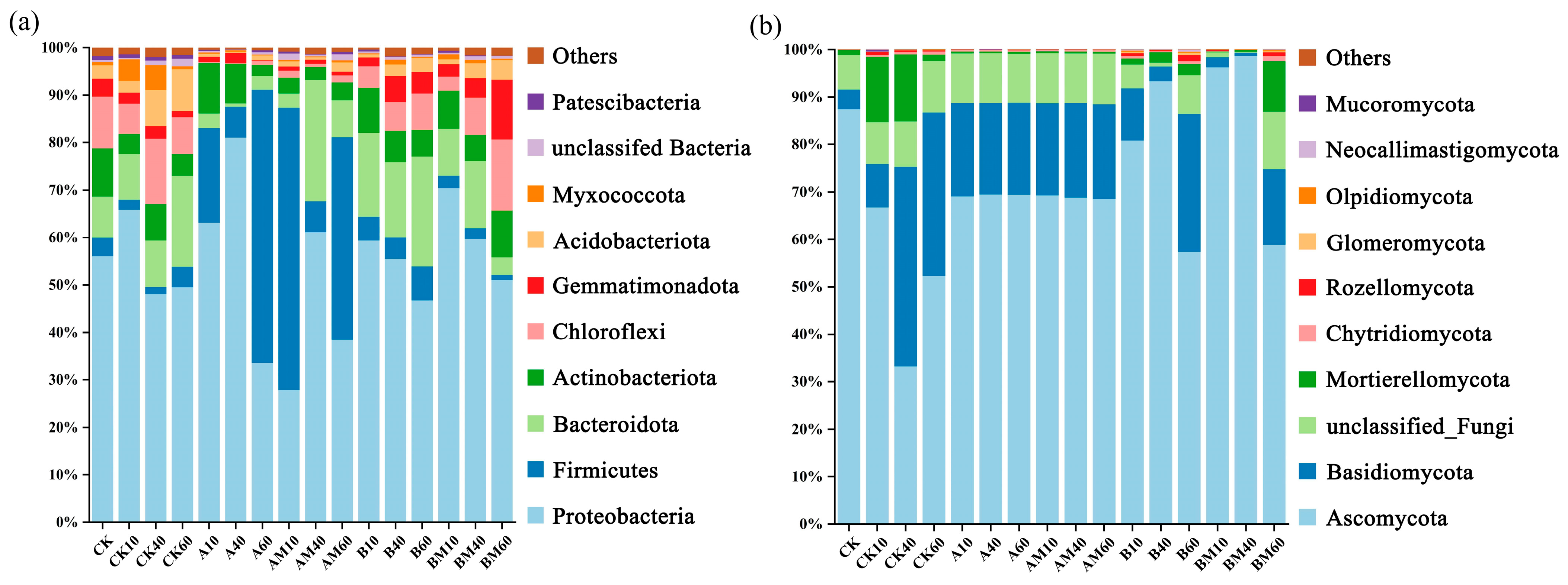 Microorganisms 13 02627 g004