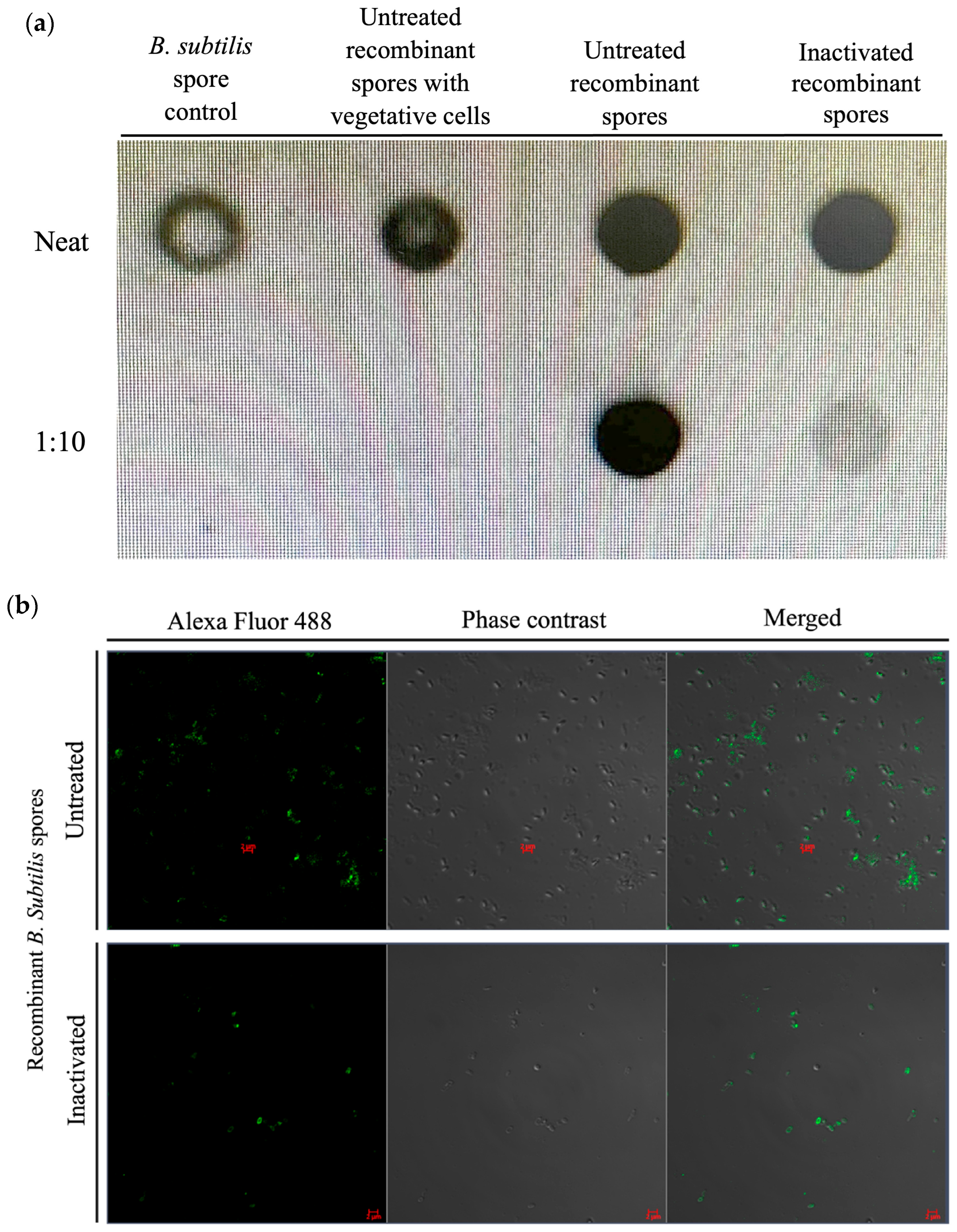 Microorganisms 13 02629 g003