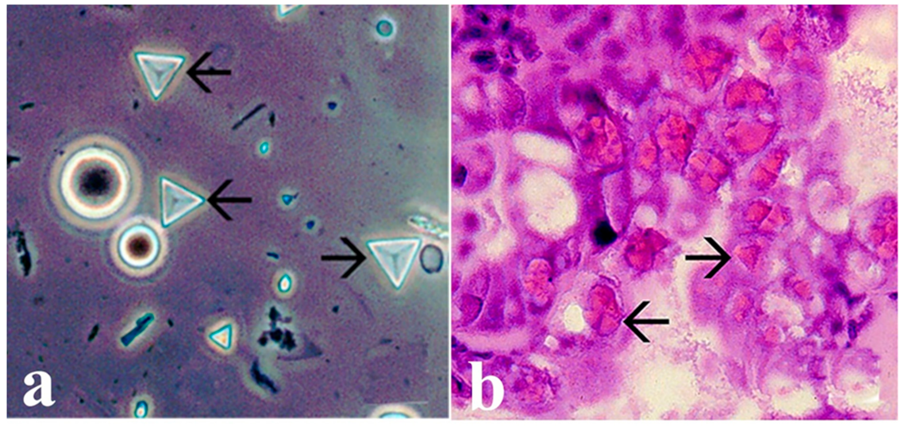 Microorganisms 13 02631 g002