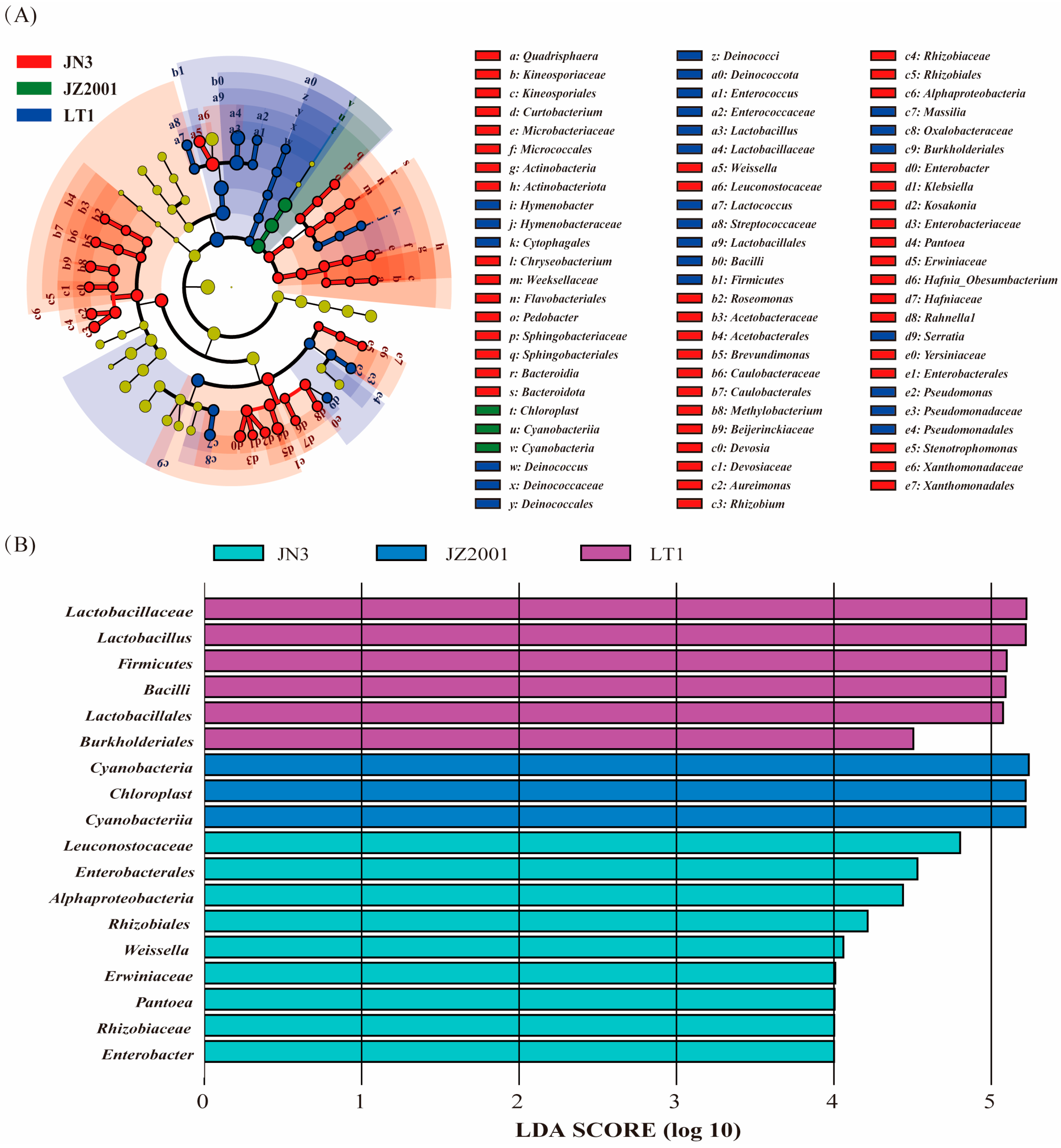 Microorganisms 13 02634 g003
