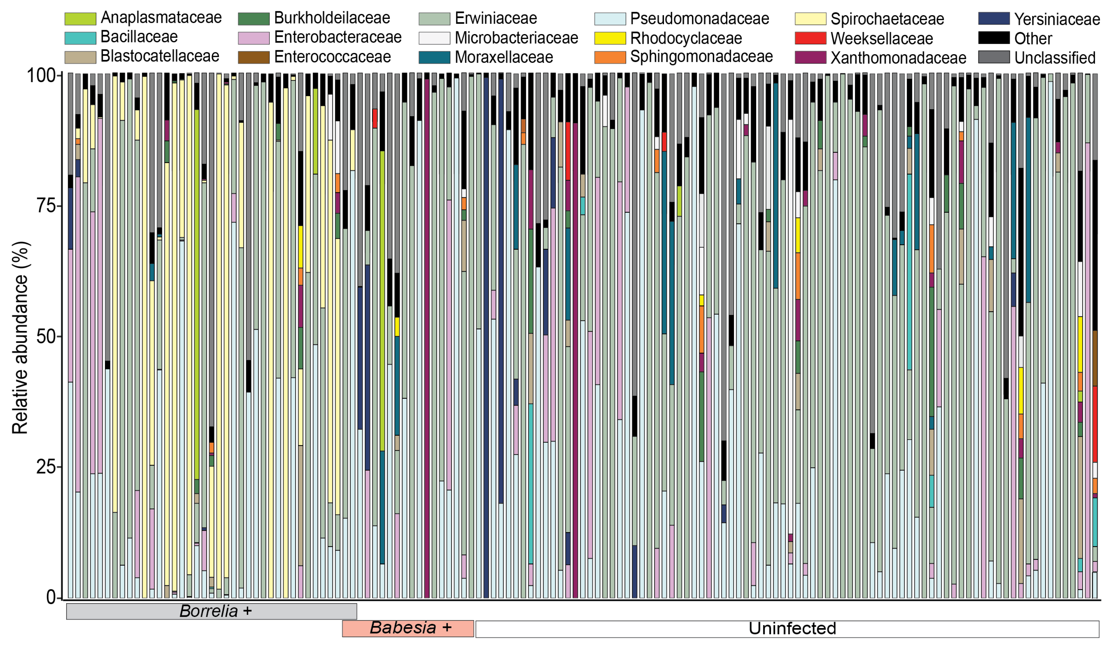 Microorganisms 13 02635 g001