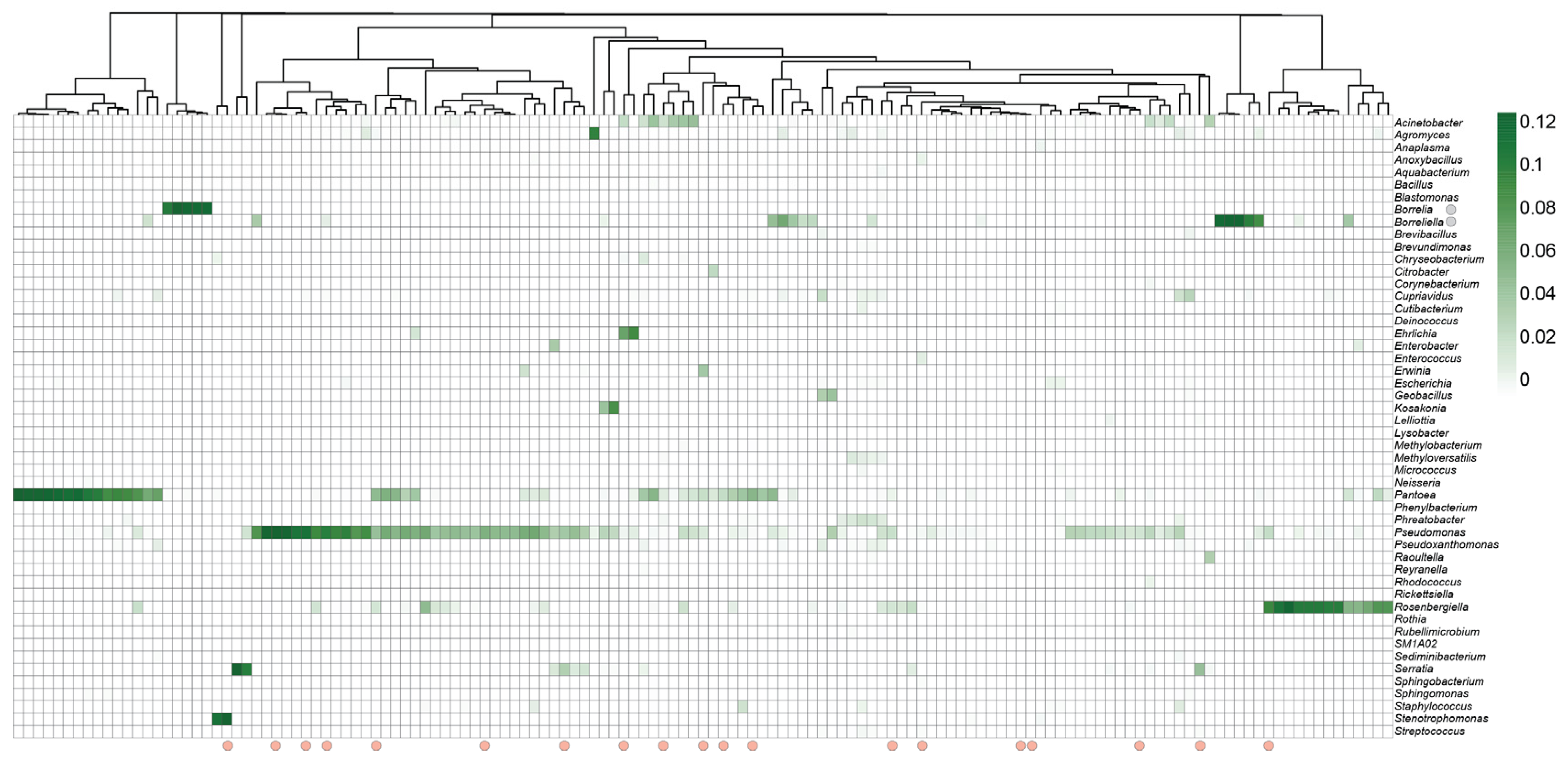 Microorganisms 13 02635 g002