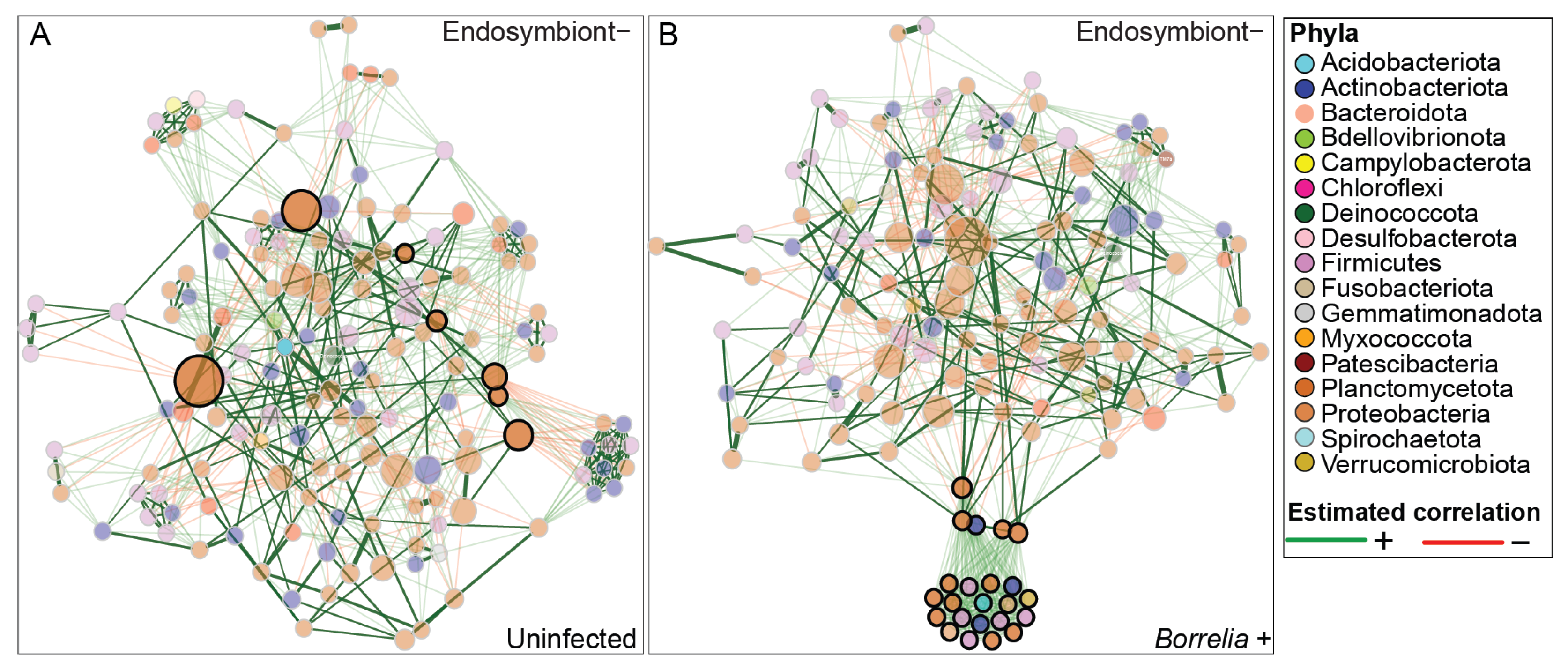 Microorganisms 13 02635 g005