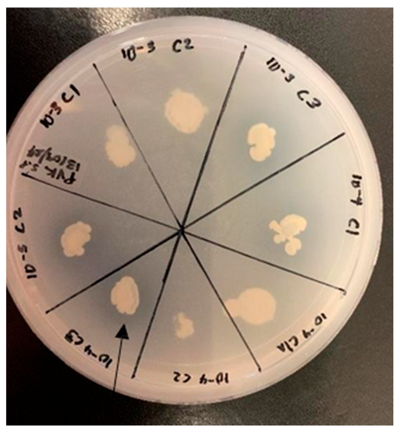 Microorganisms 13 02636 g001