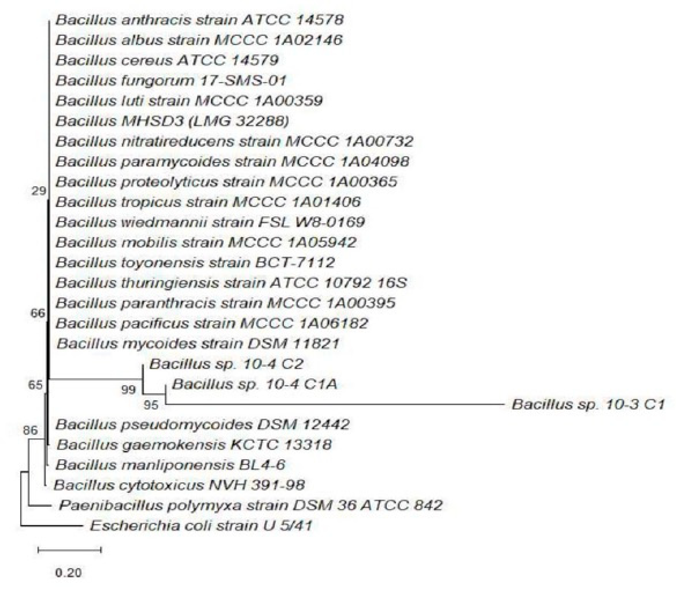 Microorganisms 13 02636 g004