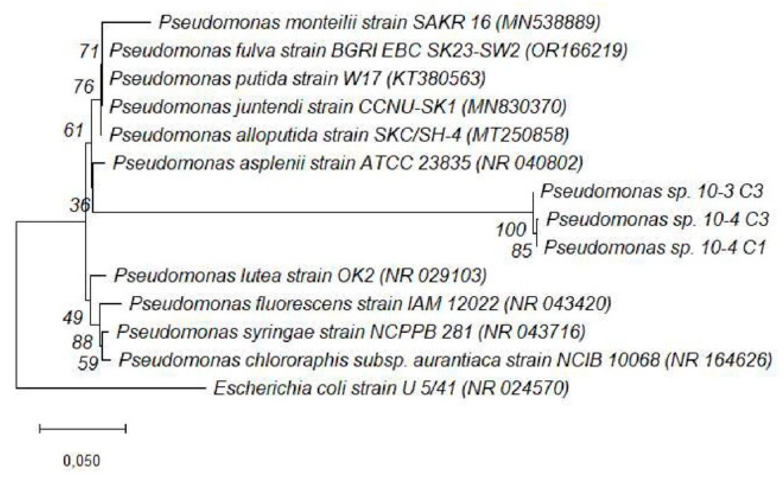 Microorganisms 13 02636 g005