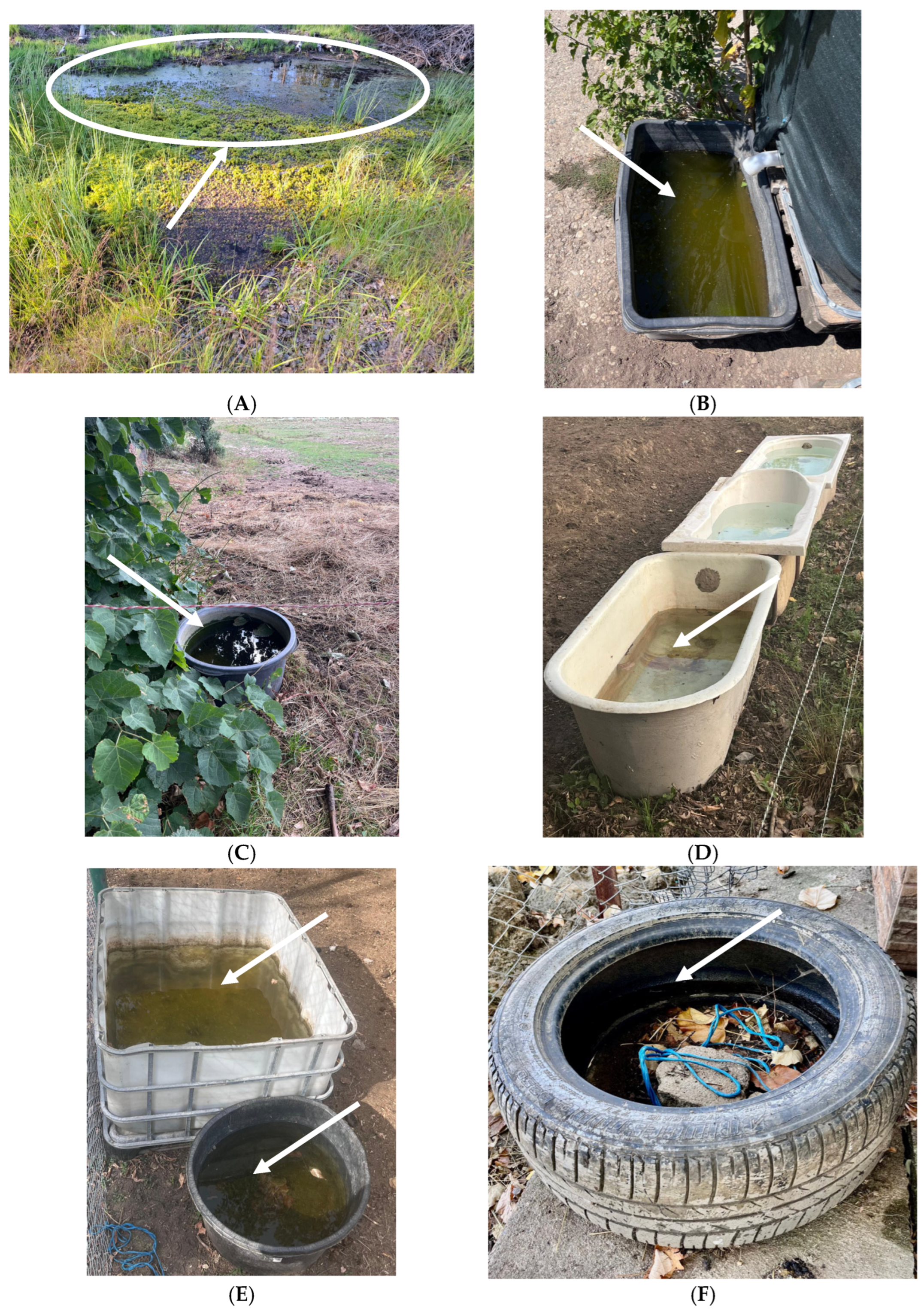 Microorganisms 13 02637 g003