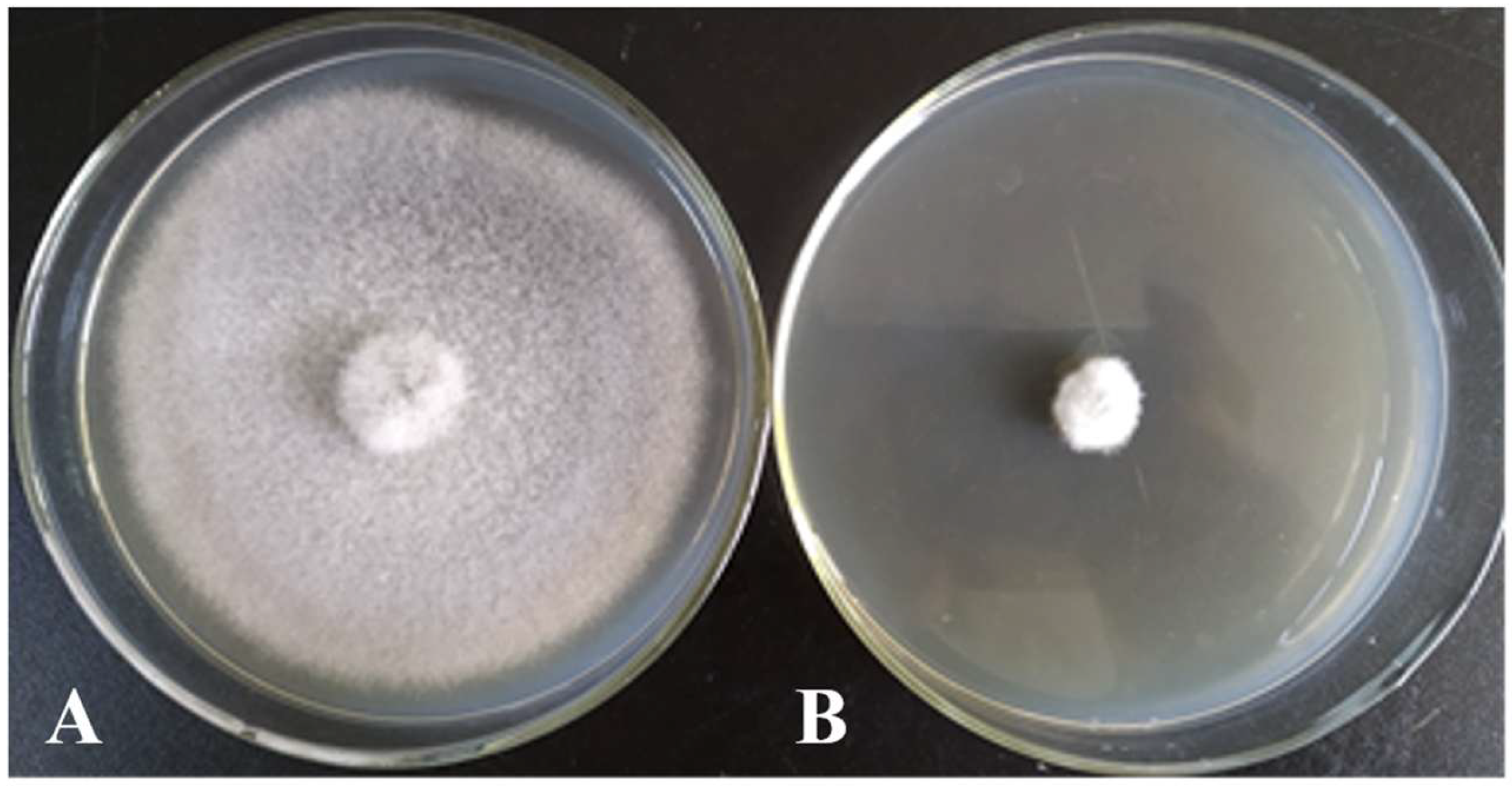 Microorganisms 13 02640 g002