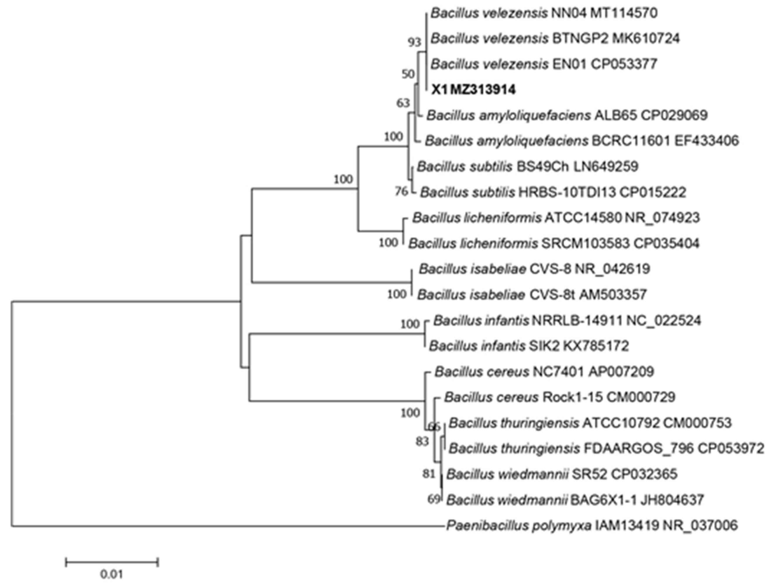 Microorganisms 13 02640 g004