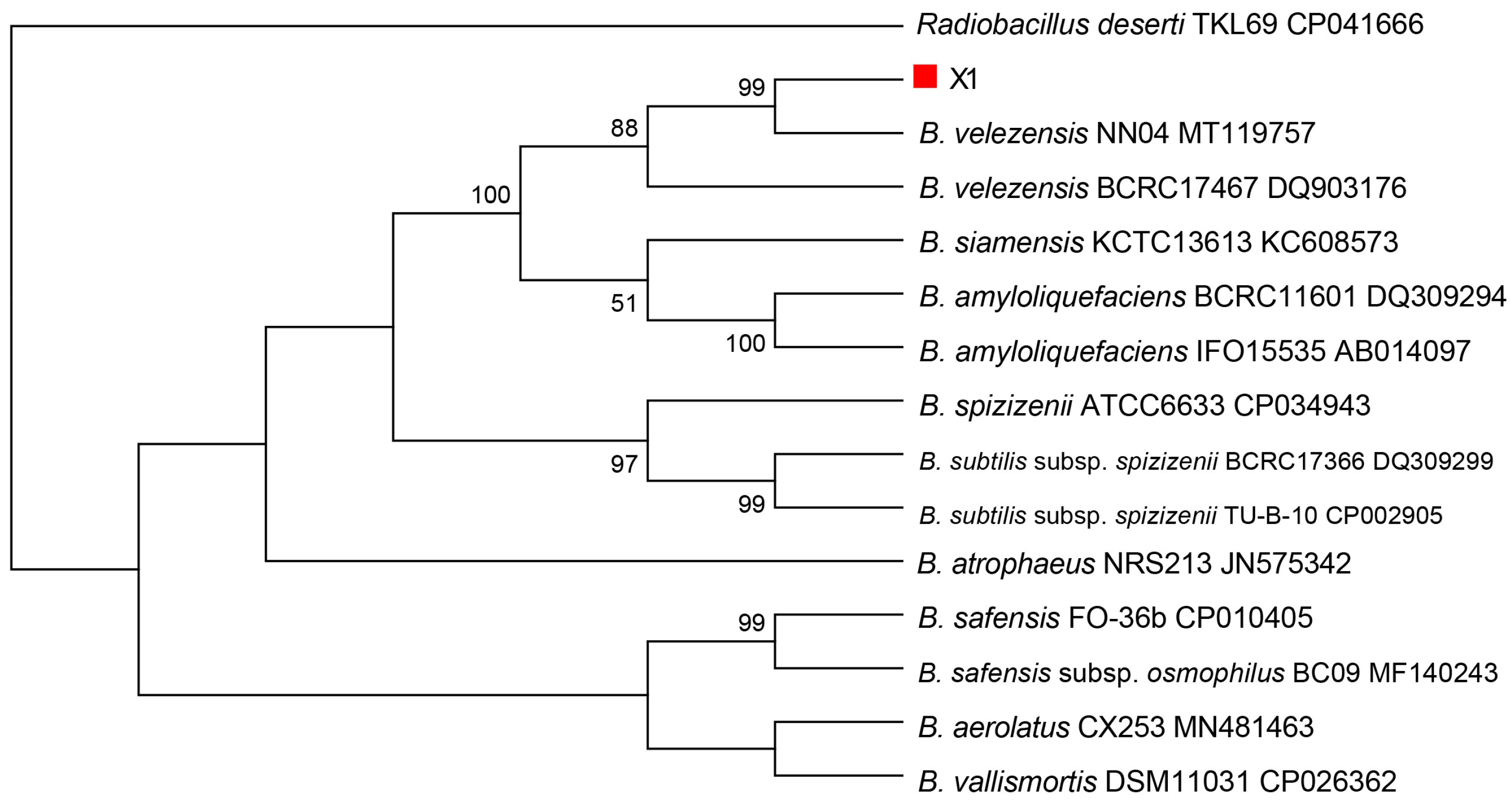 Microorganisms 13 02640 g005