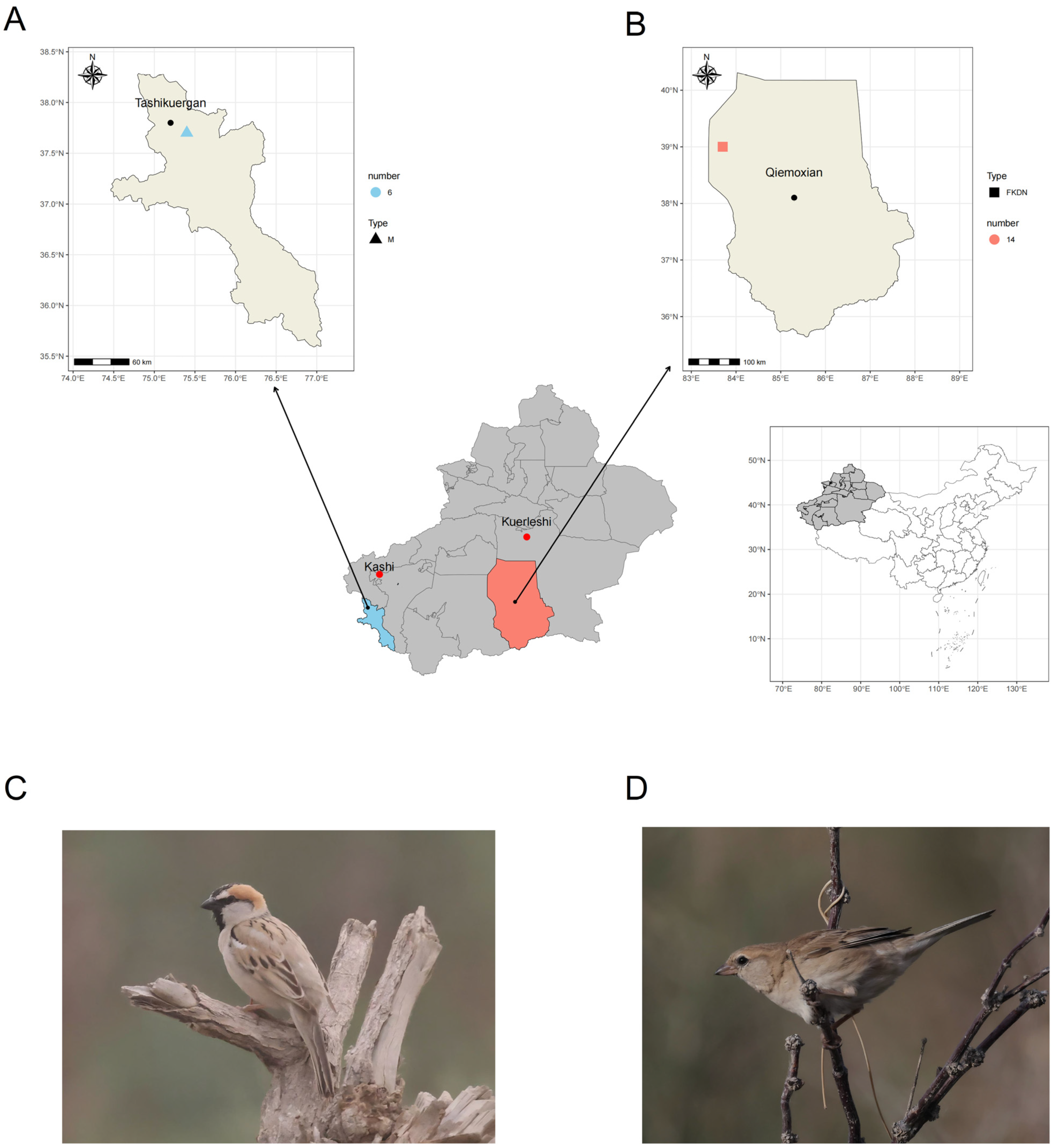 Microorganisms 13 02642 g001