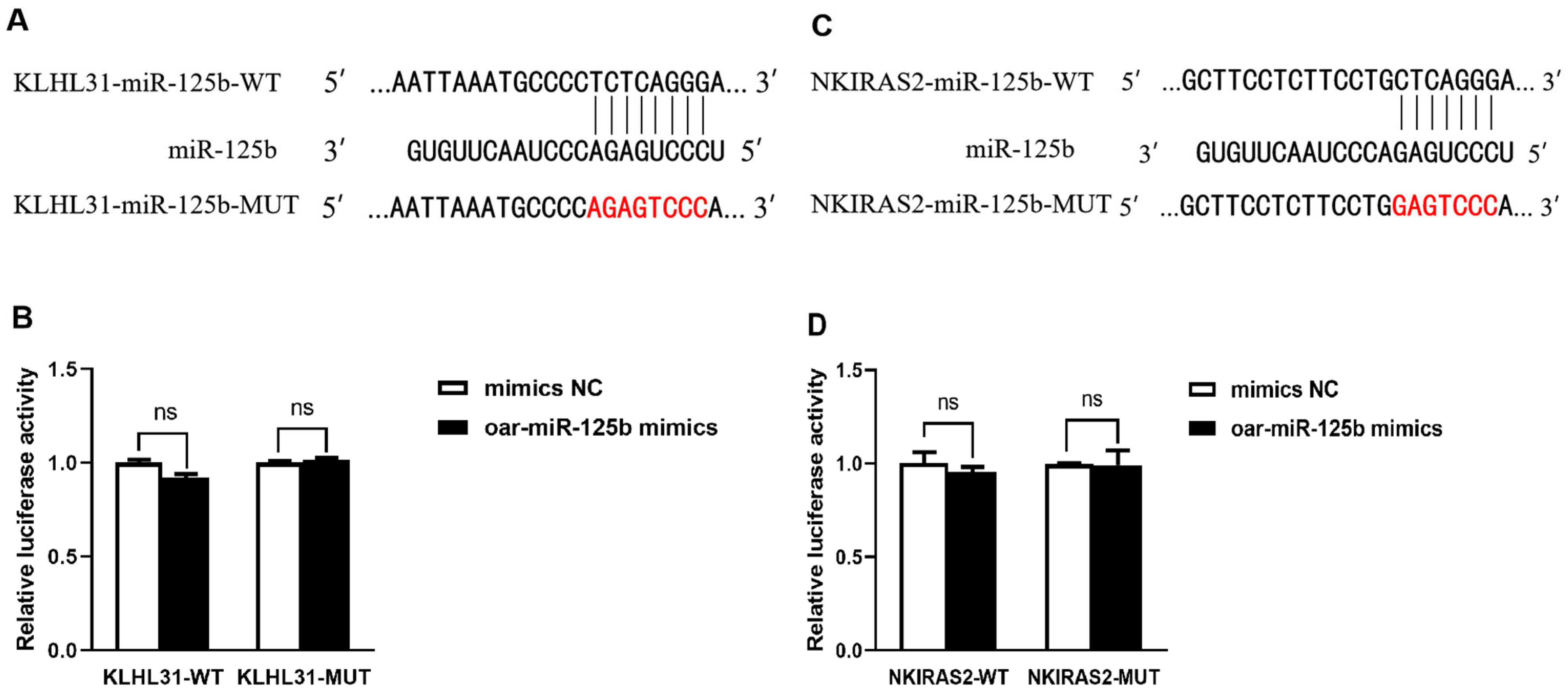 Microorganisms 13 02644 g004