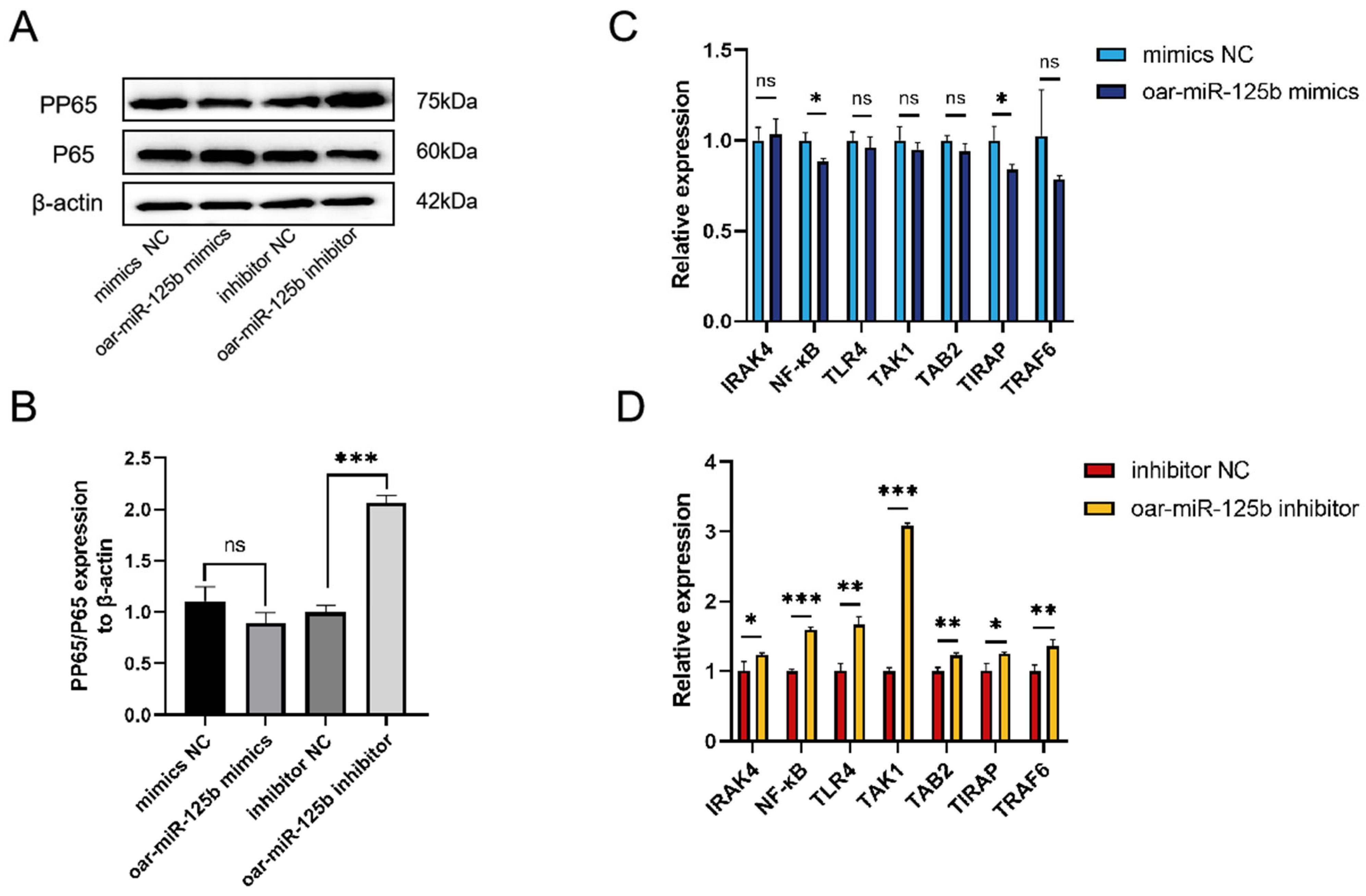 Microorganisms 13 02644 g005