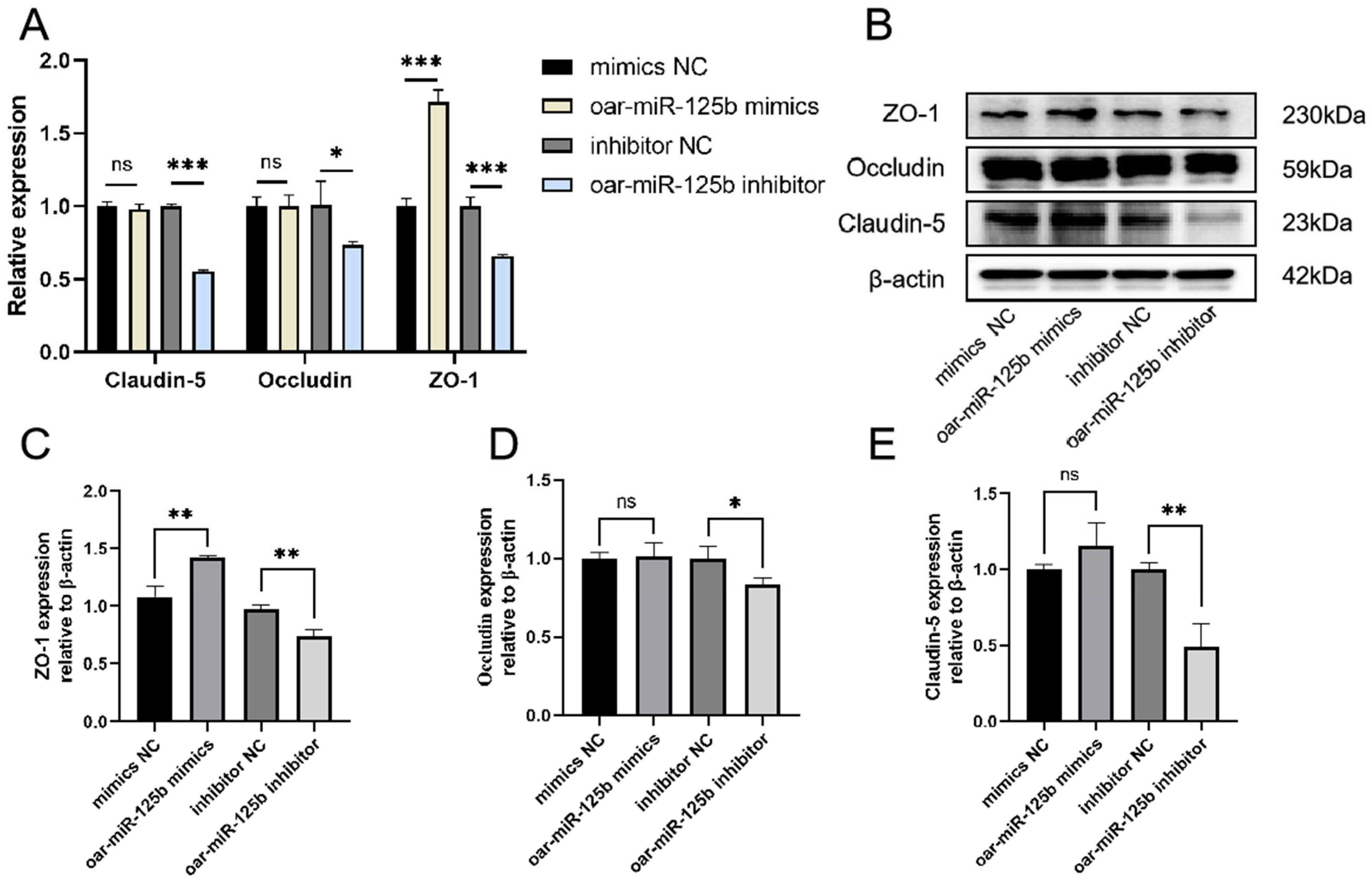 Microorganisms 13 02644 g006
