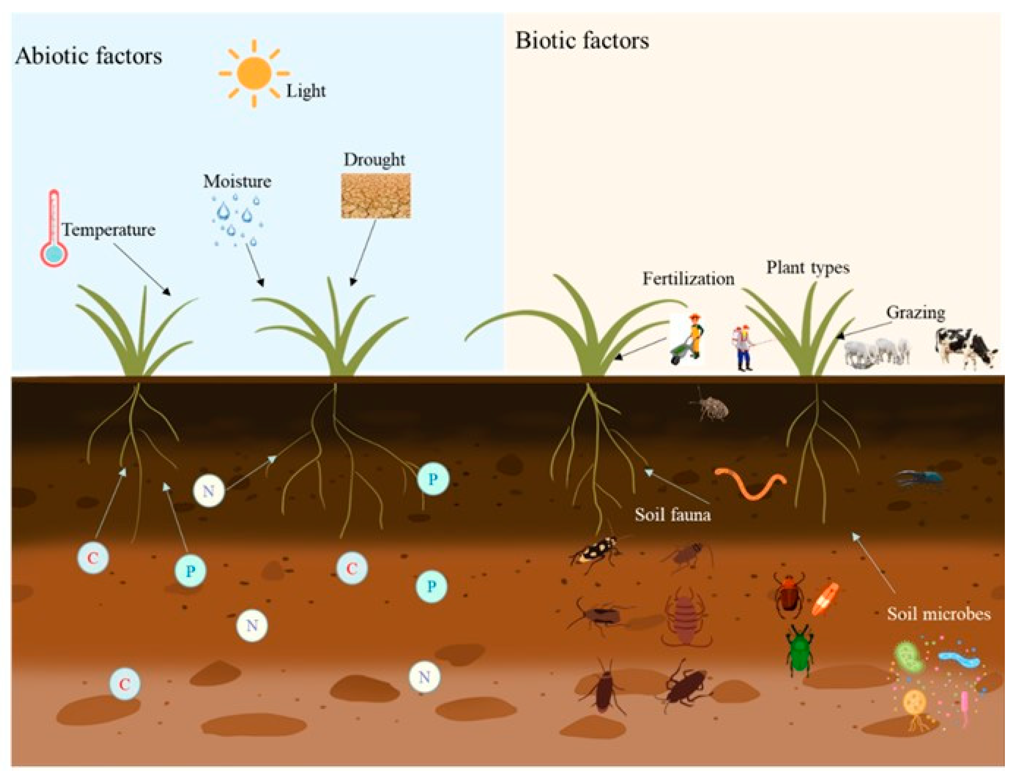 Microorganisms 13 02645 g001