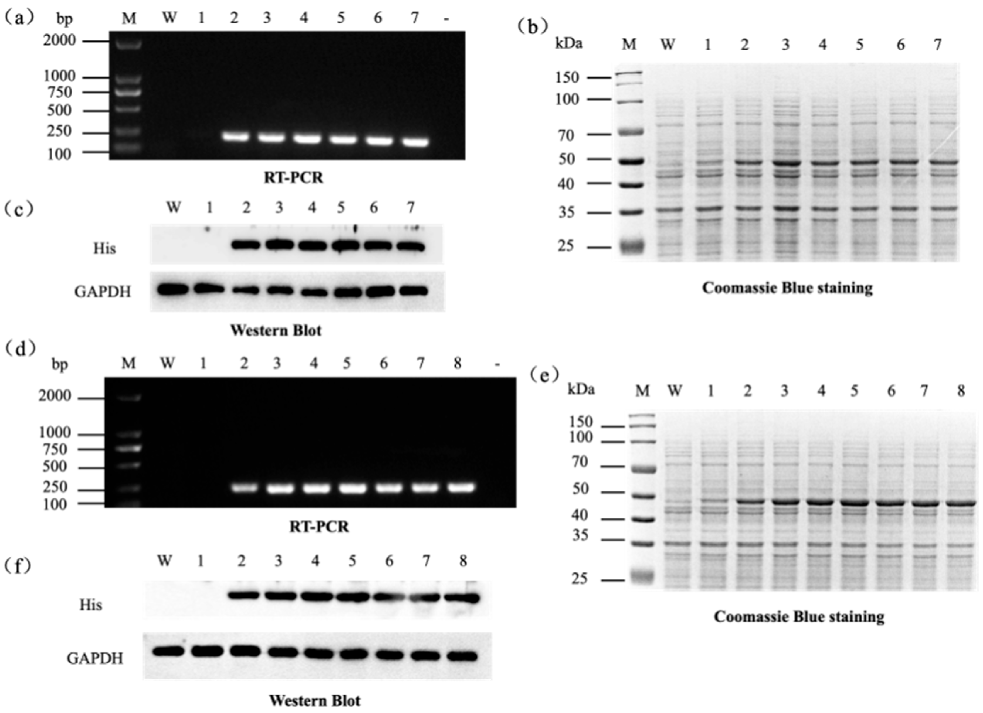 Microorganisms 13 02646 g003