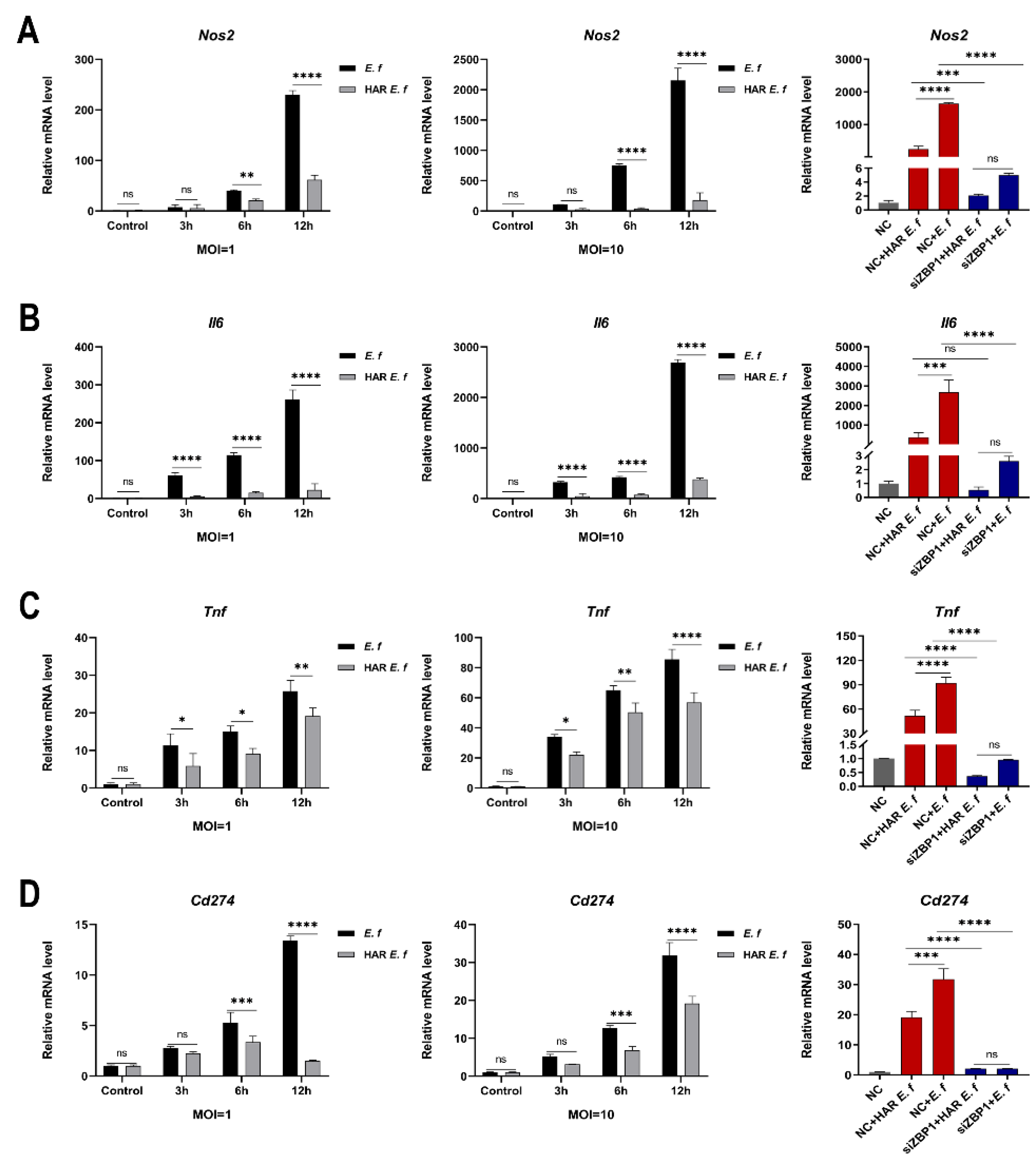 Microorganisms 13 02647 g003