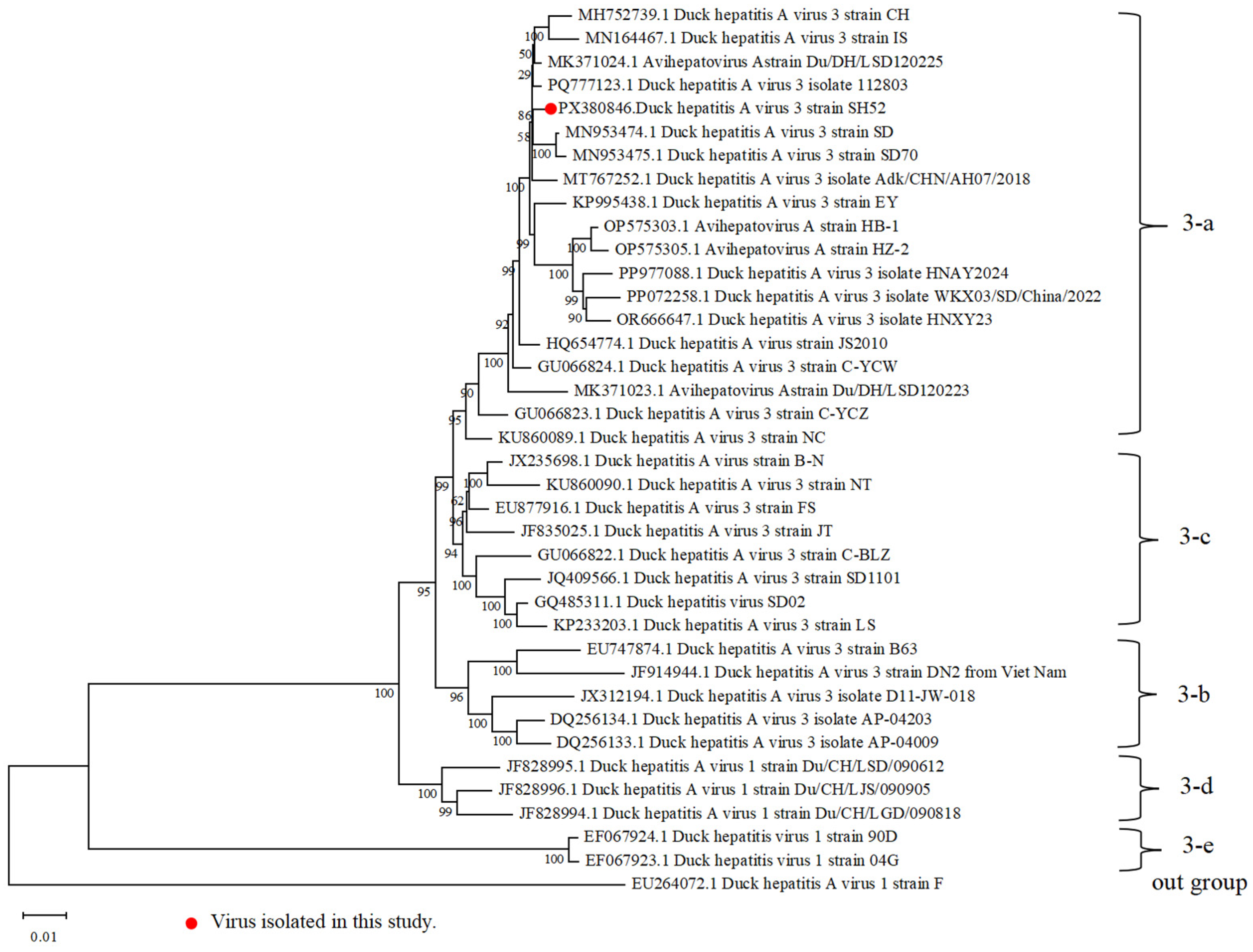 Microorganisms 13 02652 g002 Microorganisms 13 02652 g002