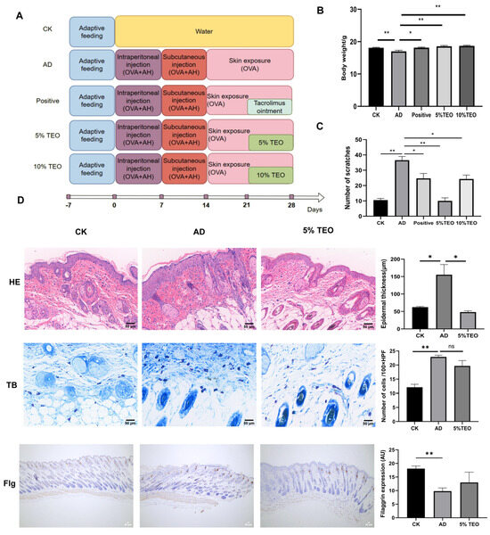 Thuja sutchuenensis Franch. Essential Oil Ameliorates Atopic