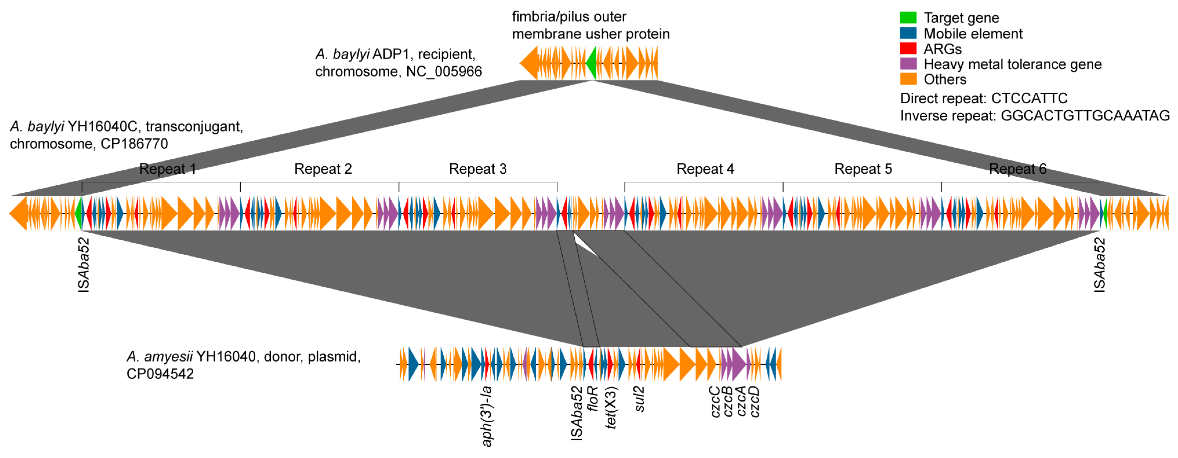 Microorganisms 13 02656 g001 Microorganisms 13 02656 g001