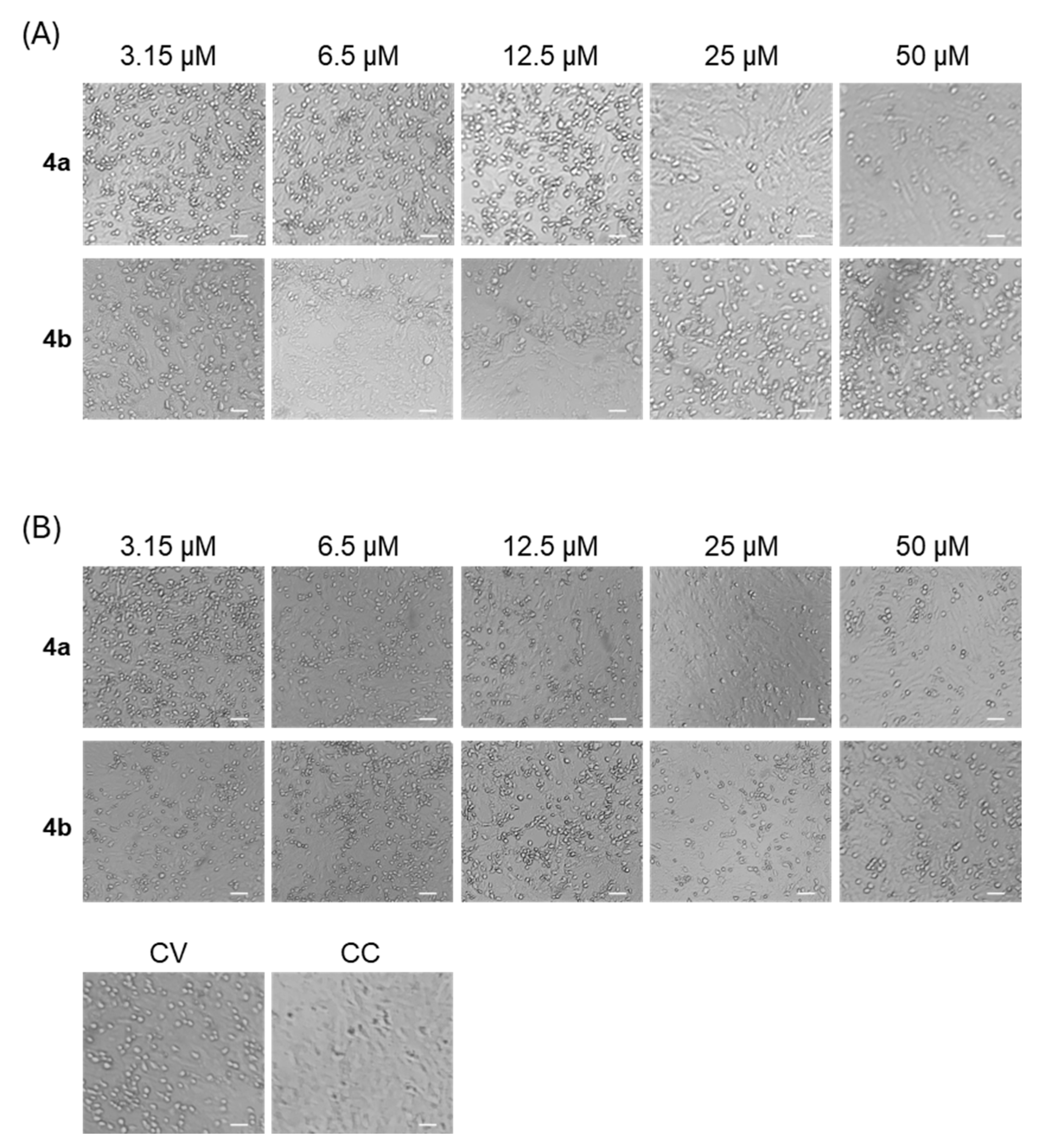Microorganisms 13 02662 g002