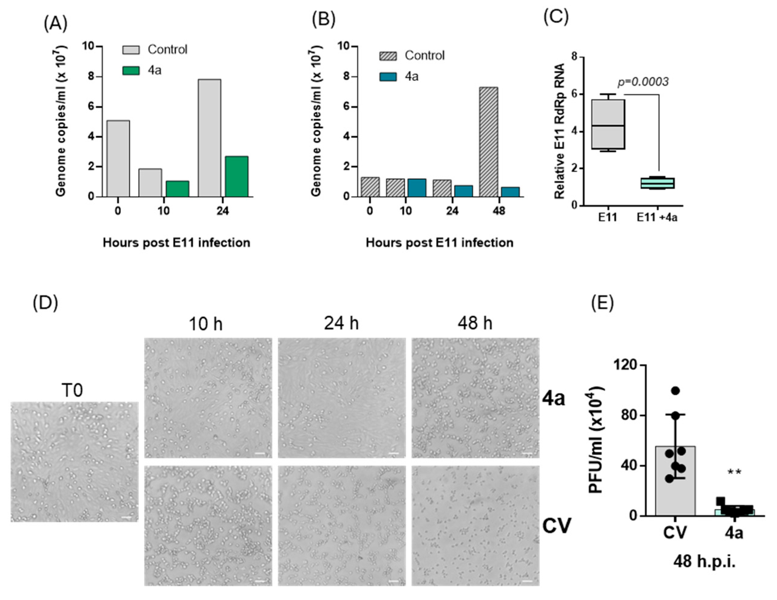 Microorganisms 13 02662 g005
