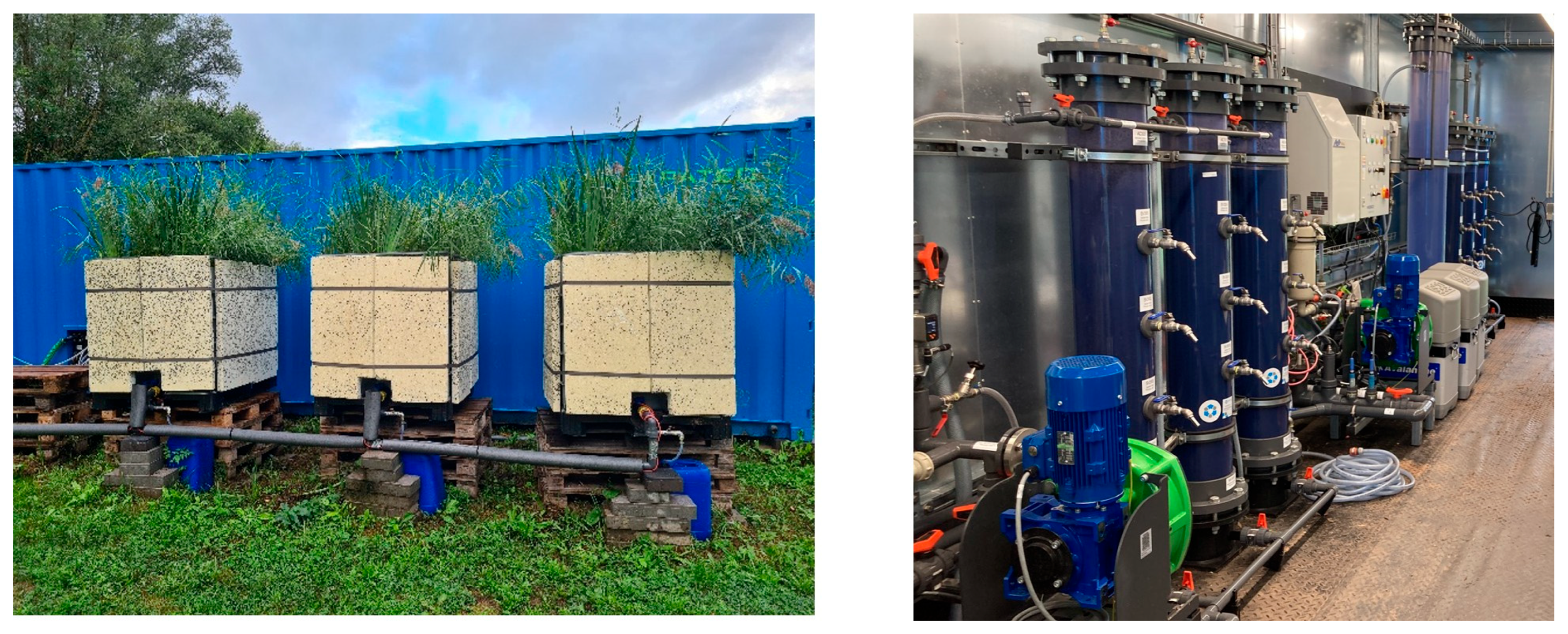 Microorganisms 13 02663 g002