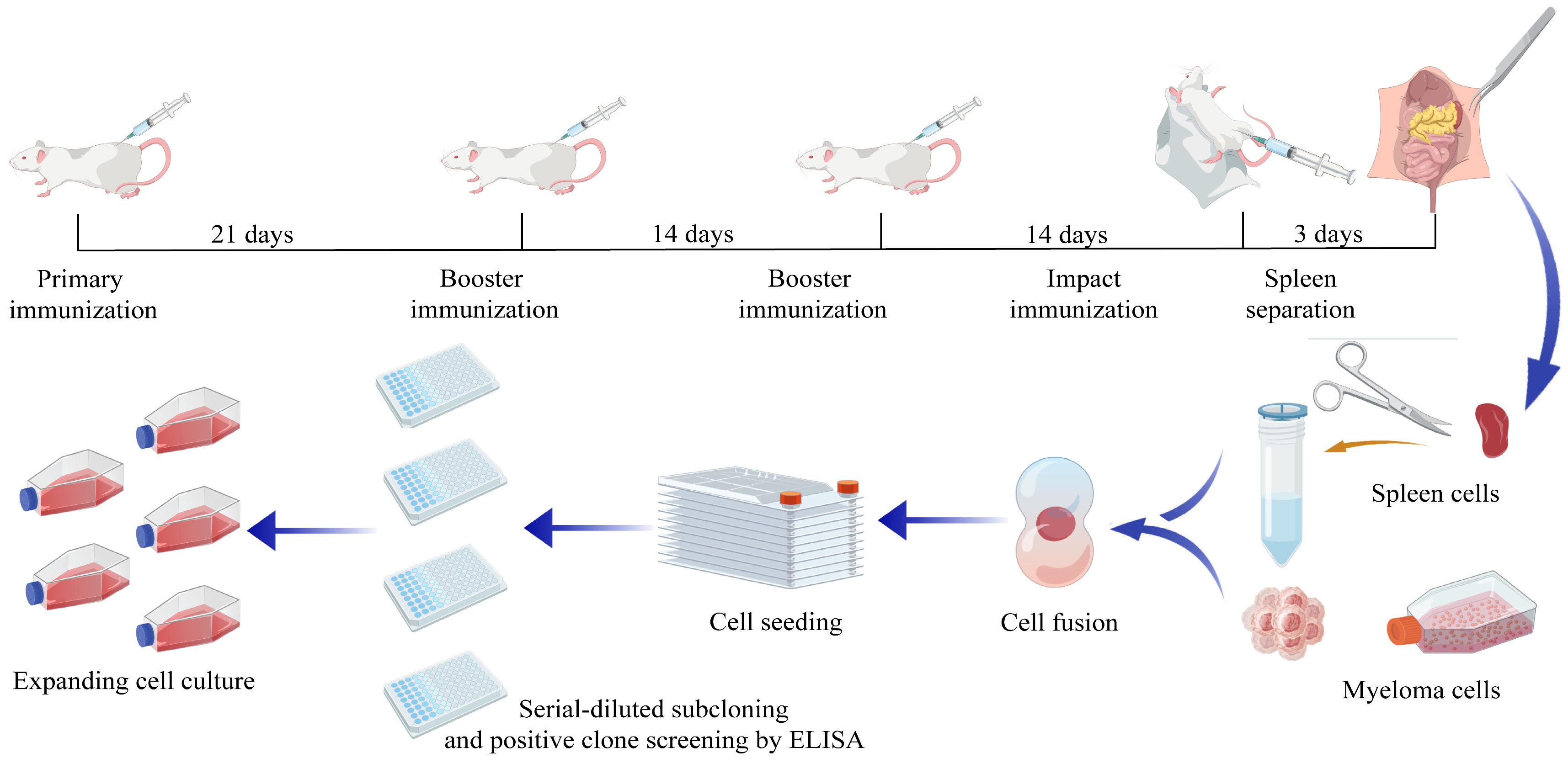 Microorganisms 13 02666 g001