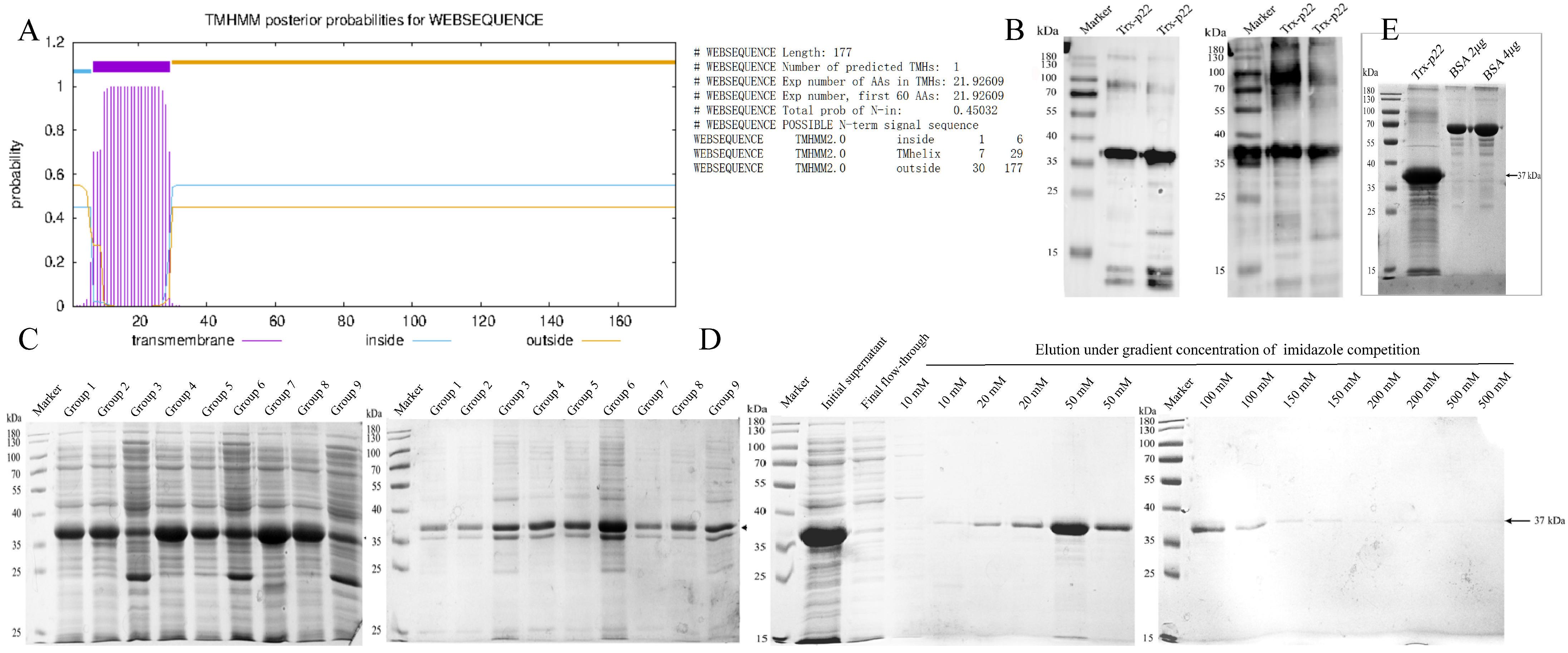 Microorganisms 13 02666 g002