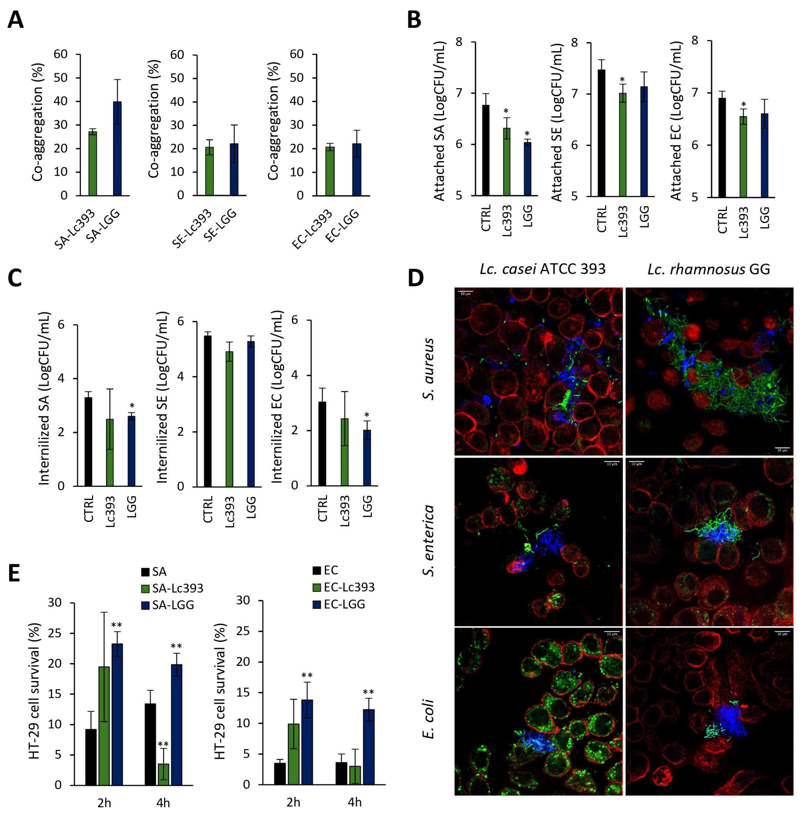 Microorganisms 13 02667 g002 Microorganisms 13 02667 g002