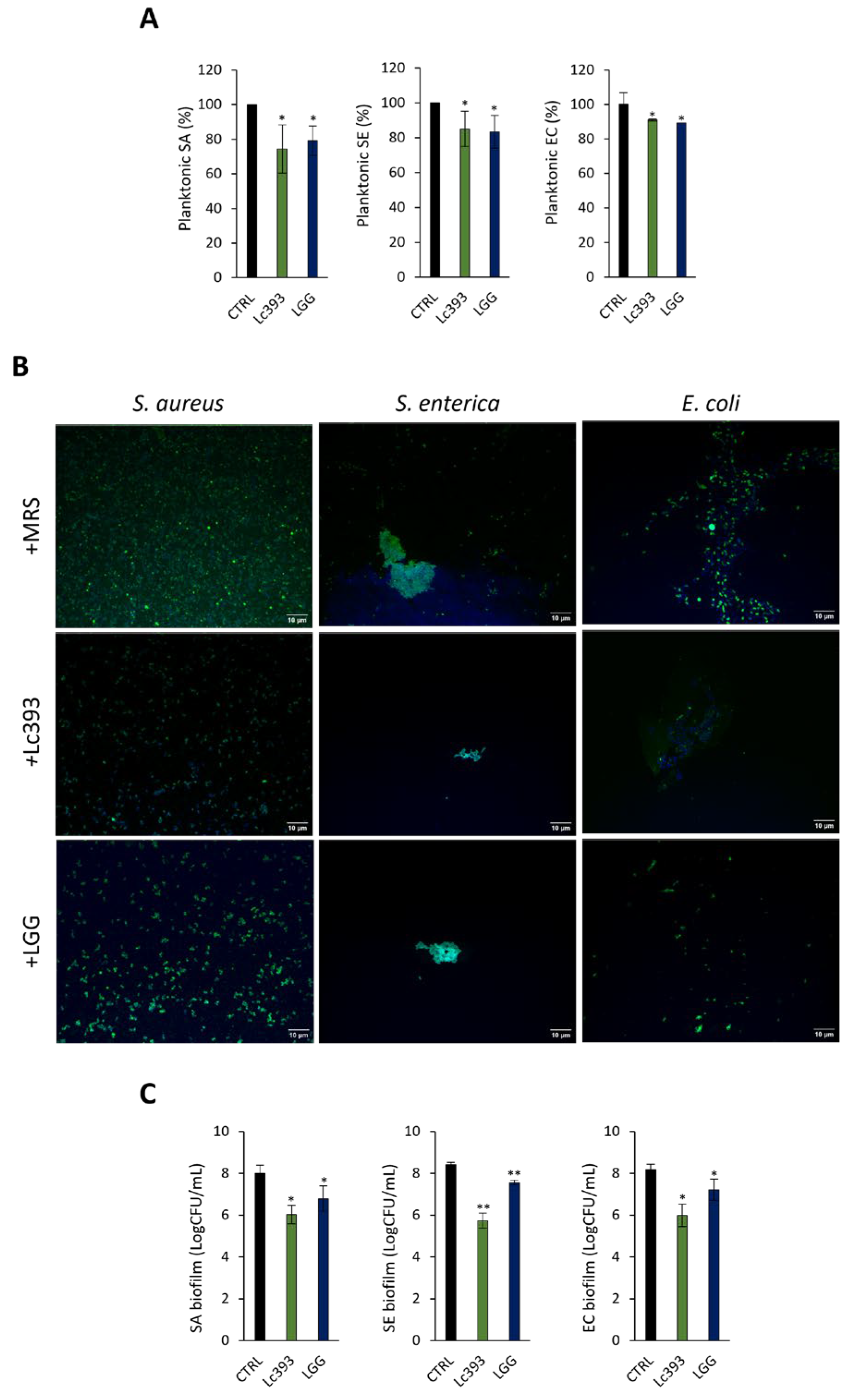 Microorganisms 13 02667 g003 Microorganisms 13 02667 g003