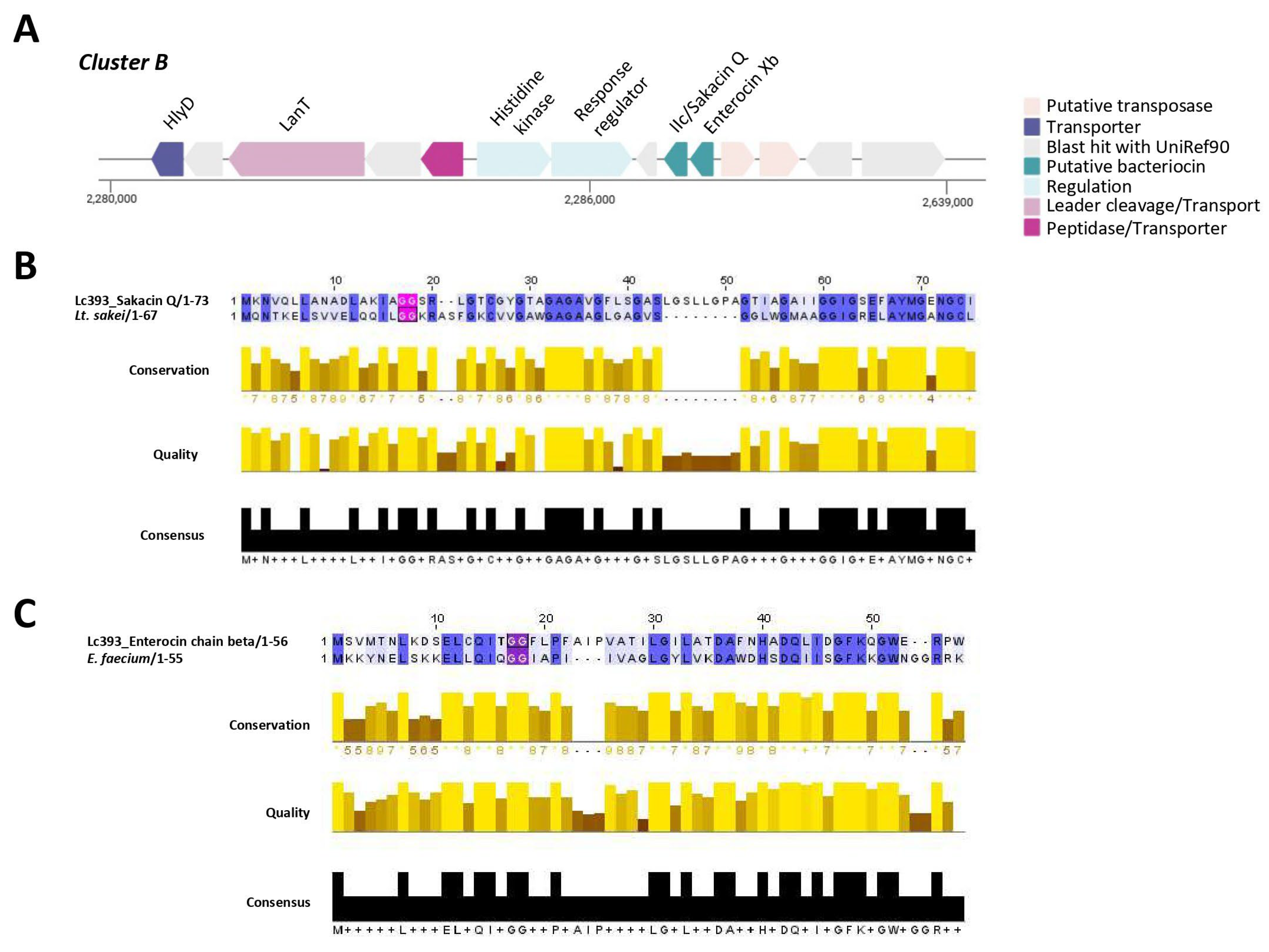 Microorganisms 13 02667 g006 Microorganisms 13 02667 g006