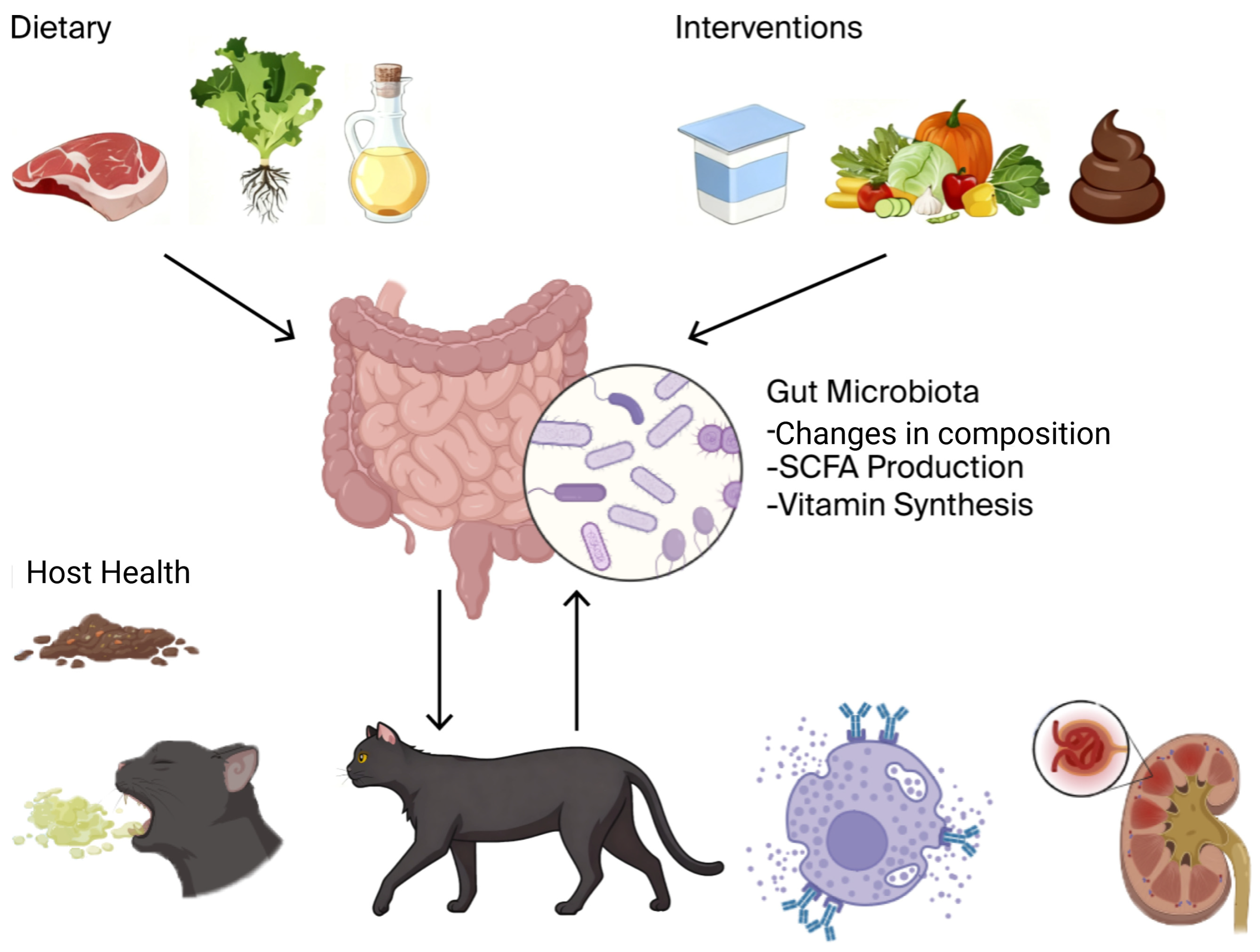 Microorganisms 13 02669 g001