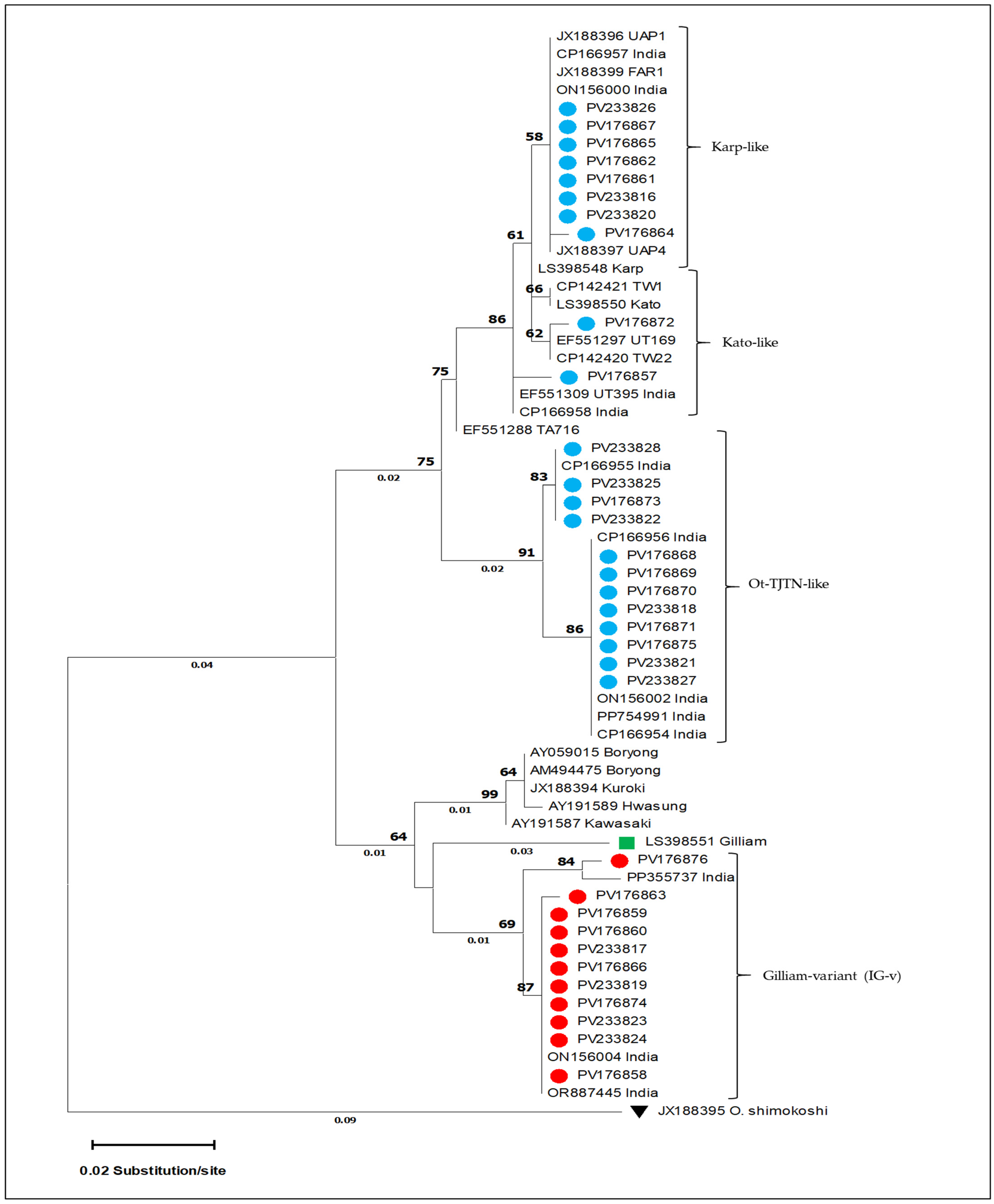 Microorganisms 13 02670 g001