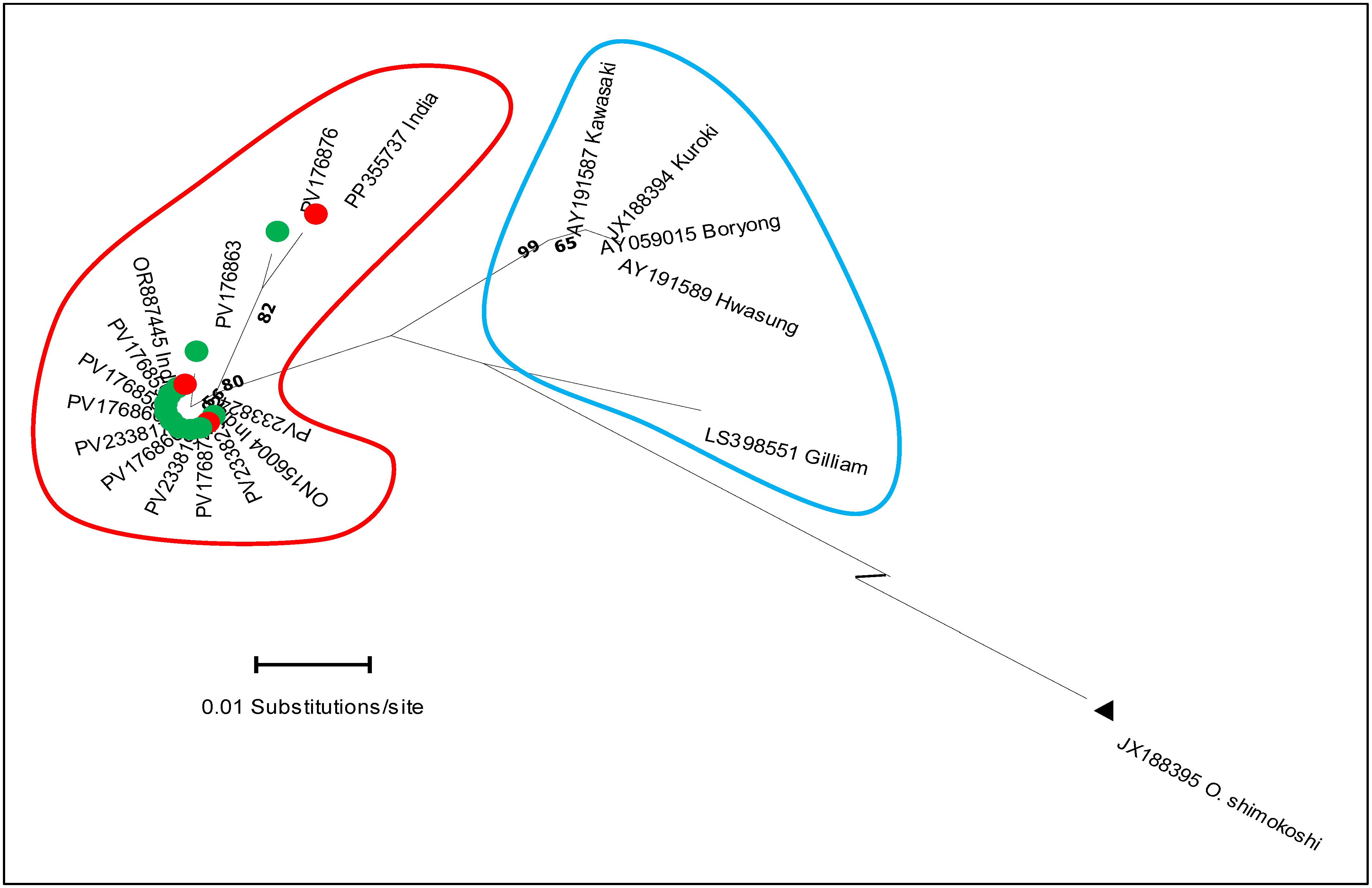 Microorganisms 13 02670 g002