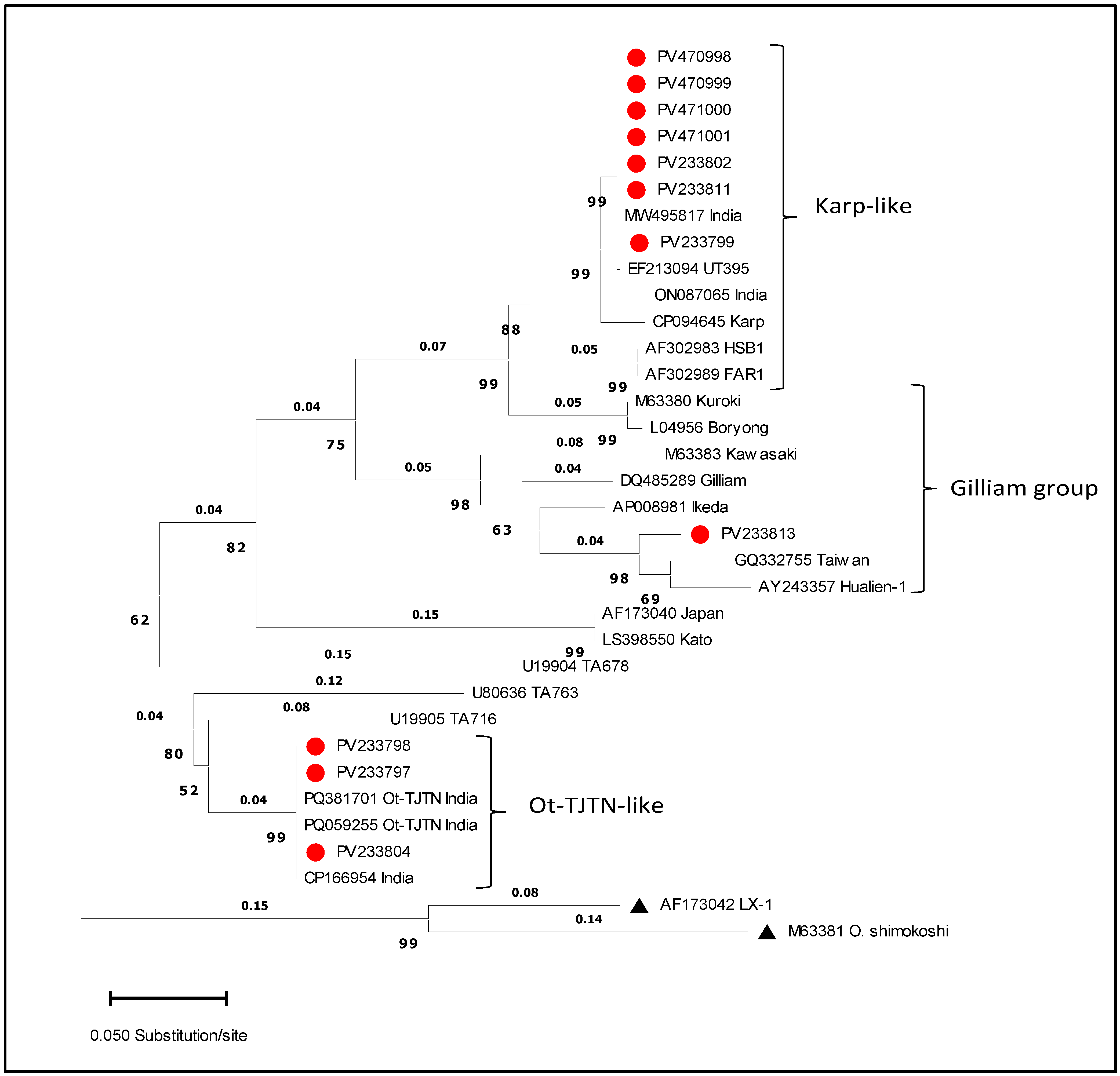 Microorganisms 13 02670 g003
