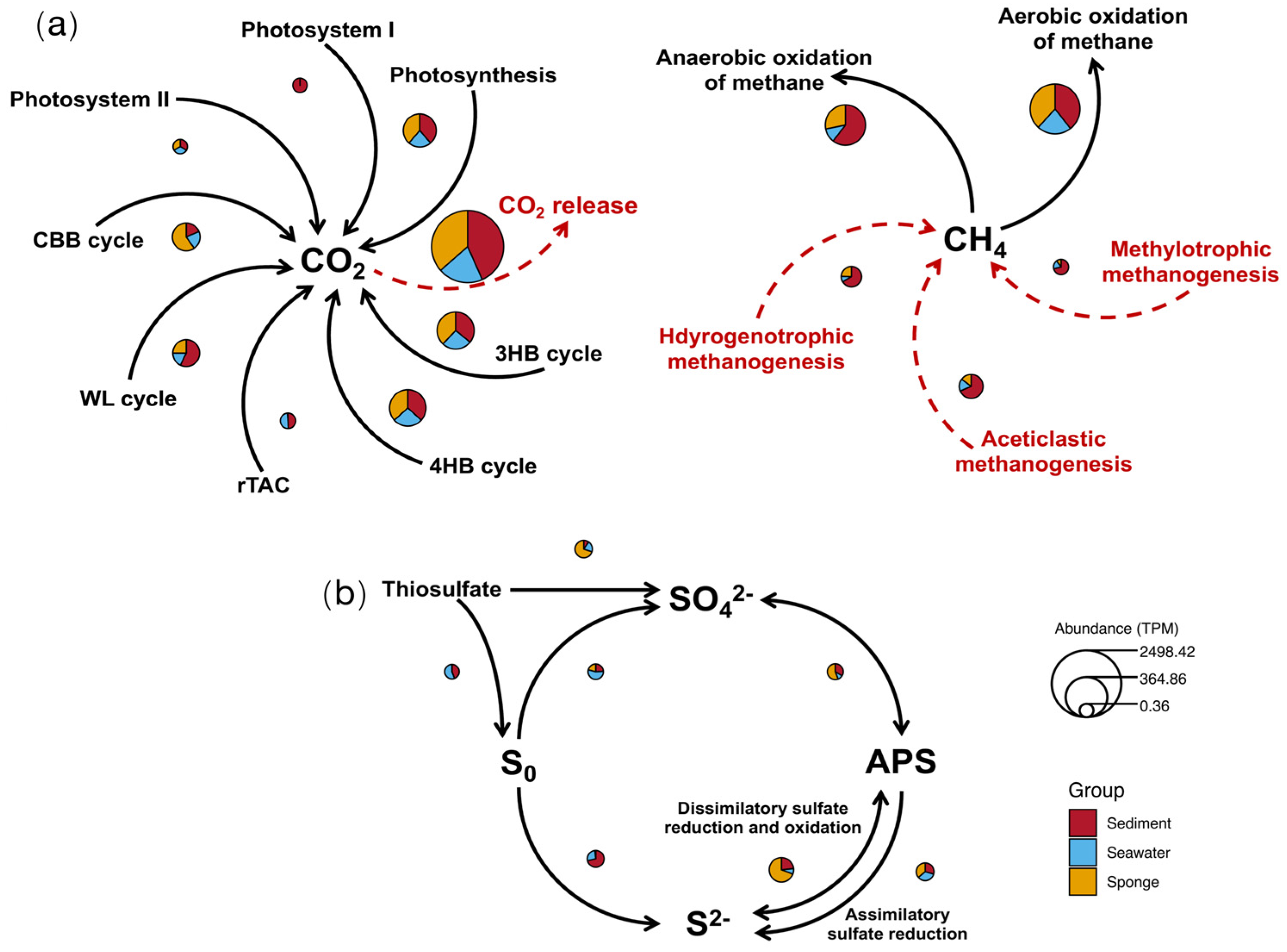 Microorganisms 13 02672 g008
