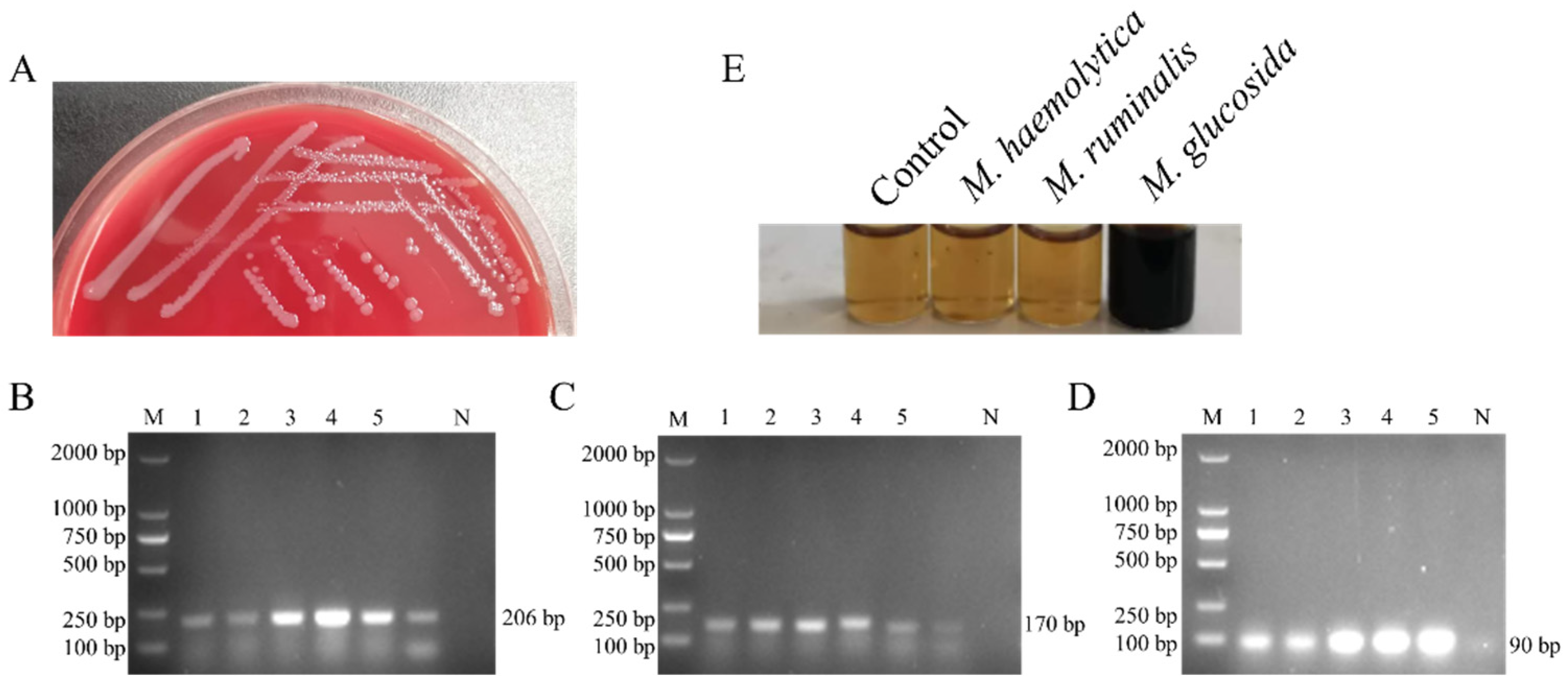 Microorganisms 13 02676 g001