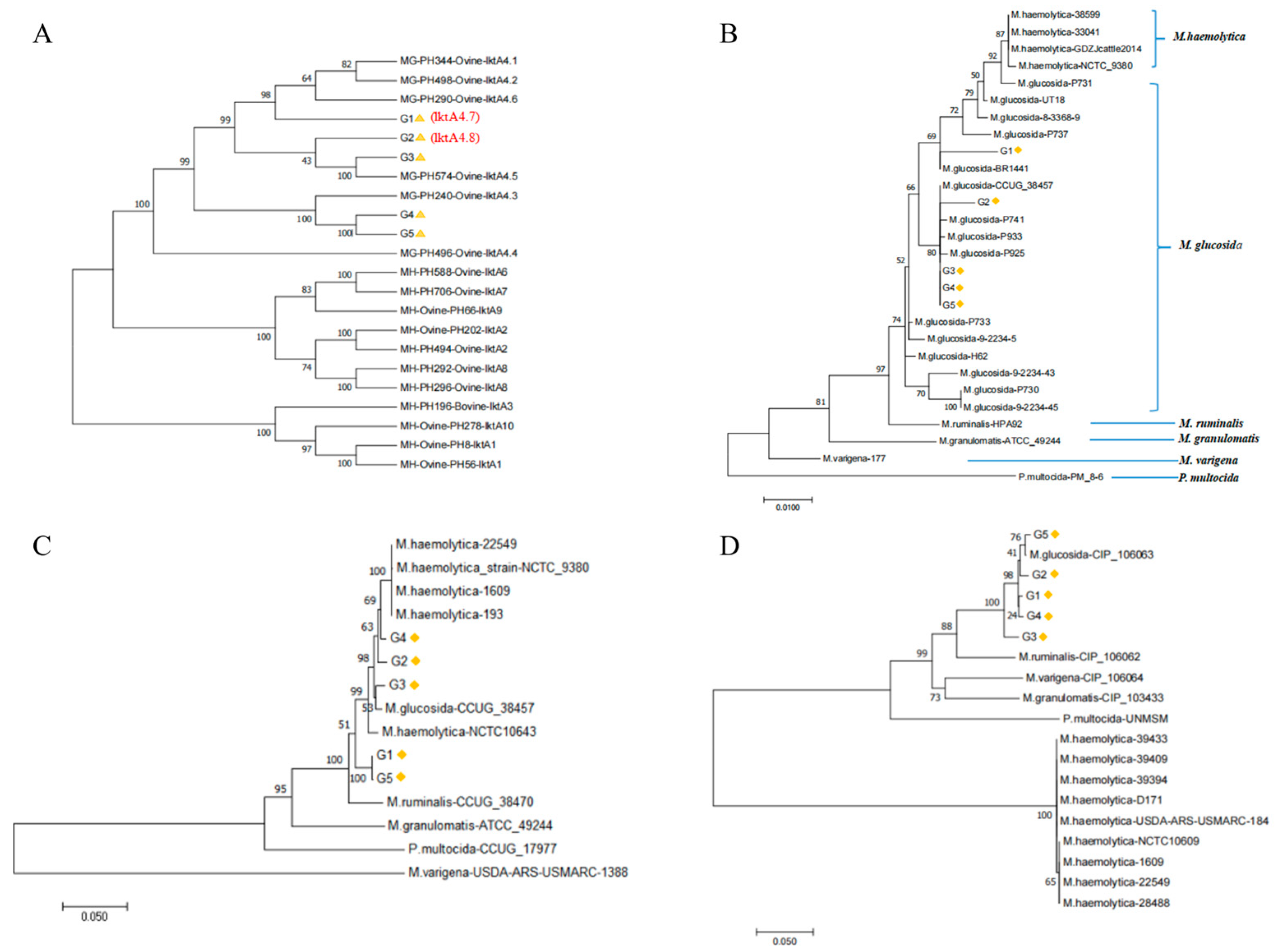 Microorganisms 13 02676 g003