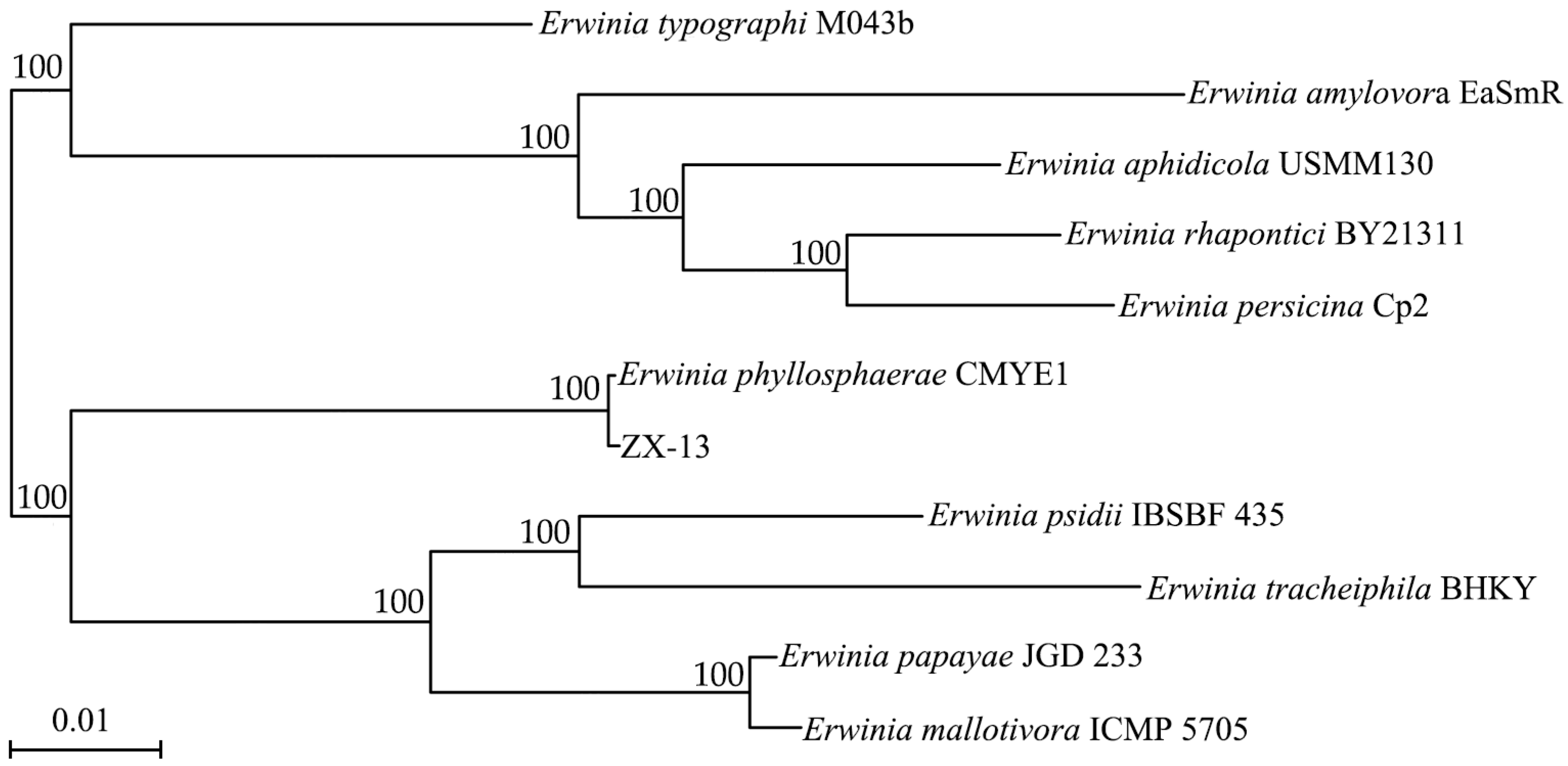 Microorganisms 13 02678 g009