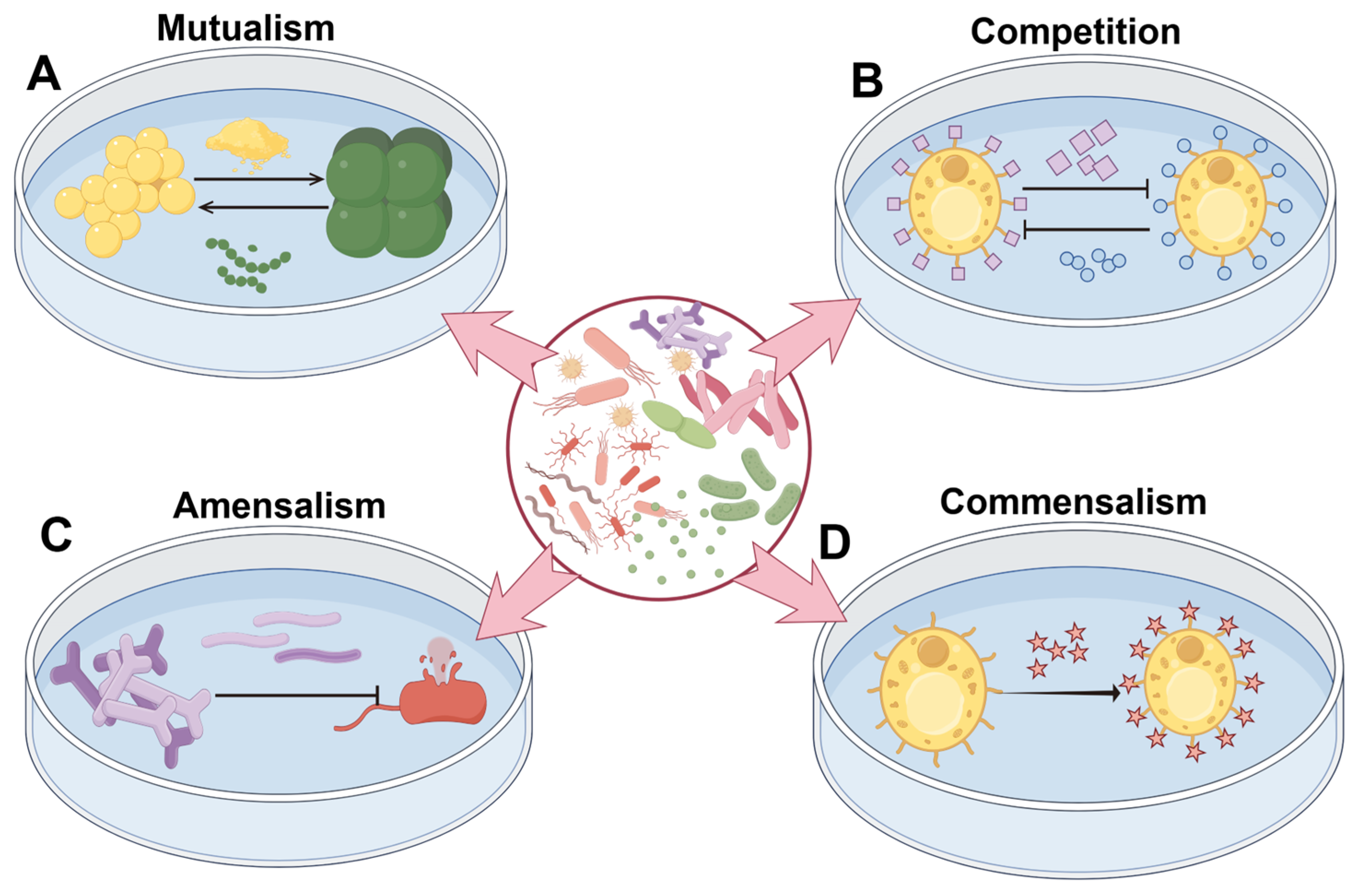 Microorganisms 13 02679 g002