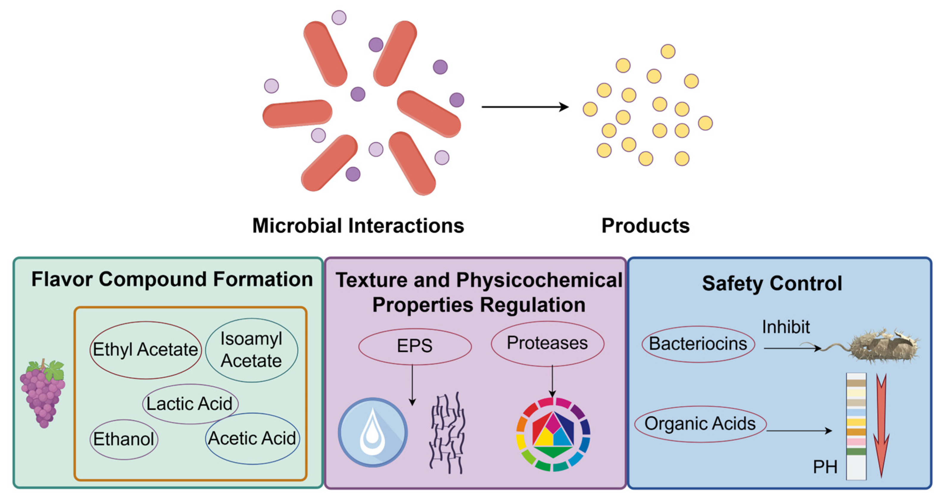 Microorganisms 13 02679 g003