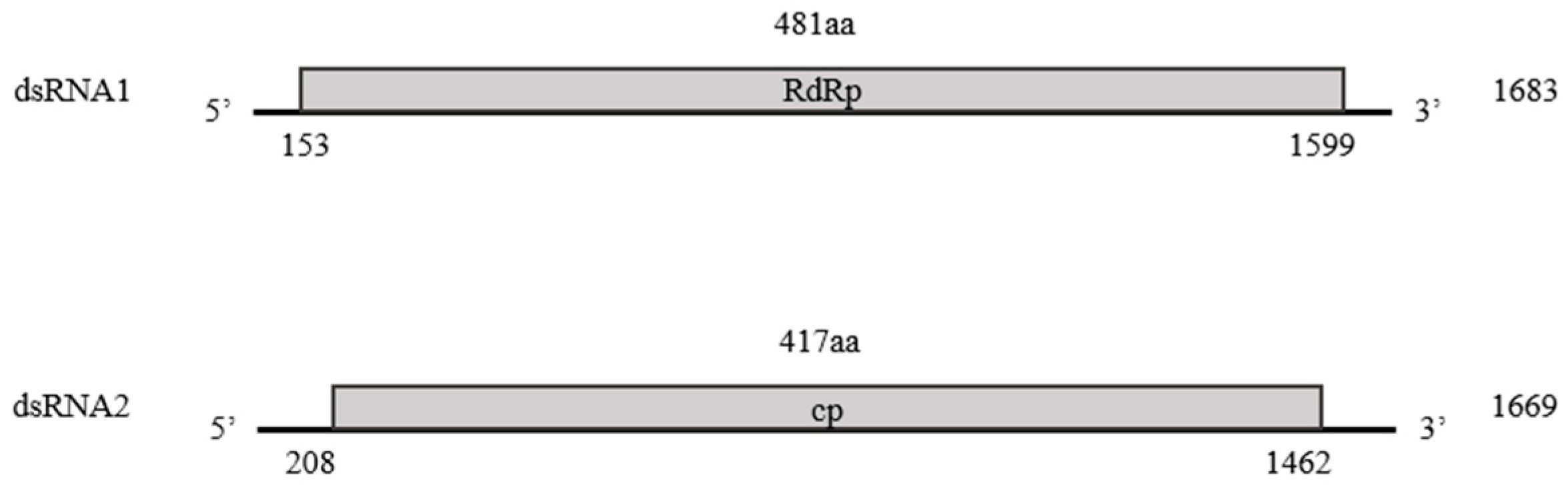 Microorganisms 13 02682 g002 Microorganisms 13 02682 g002