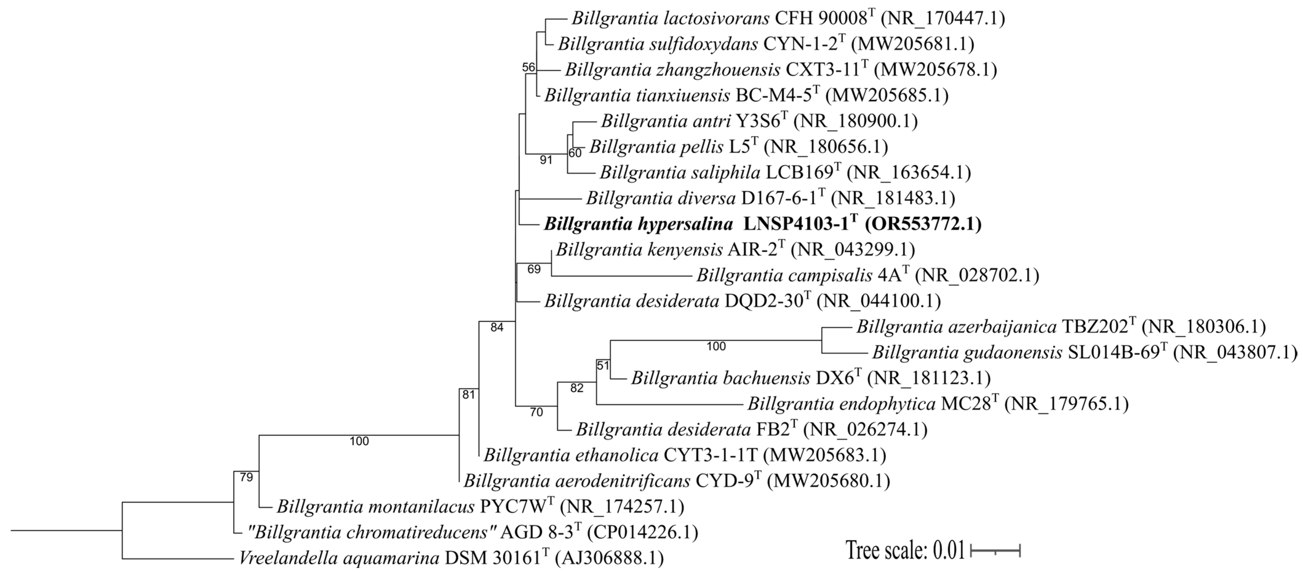 Microorganisms 13 02683 g001