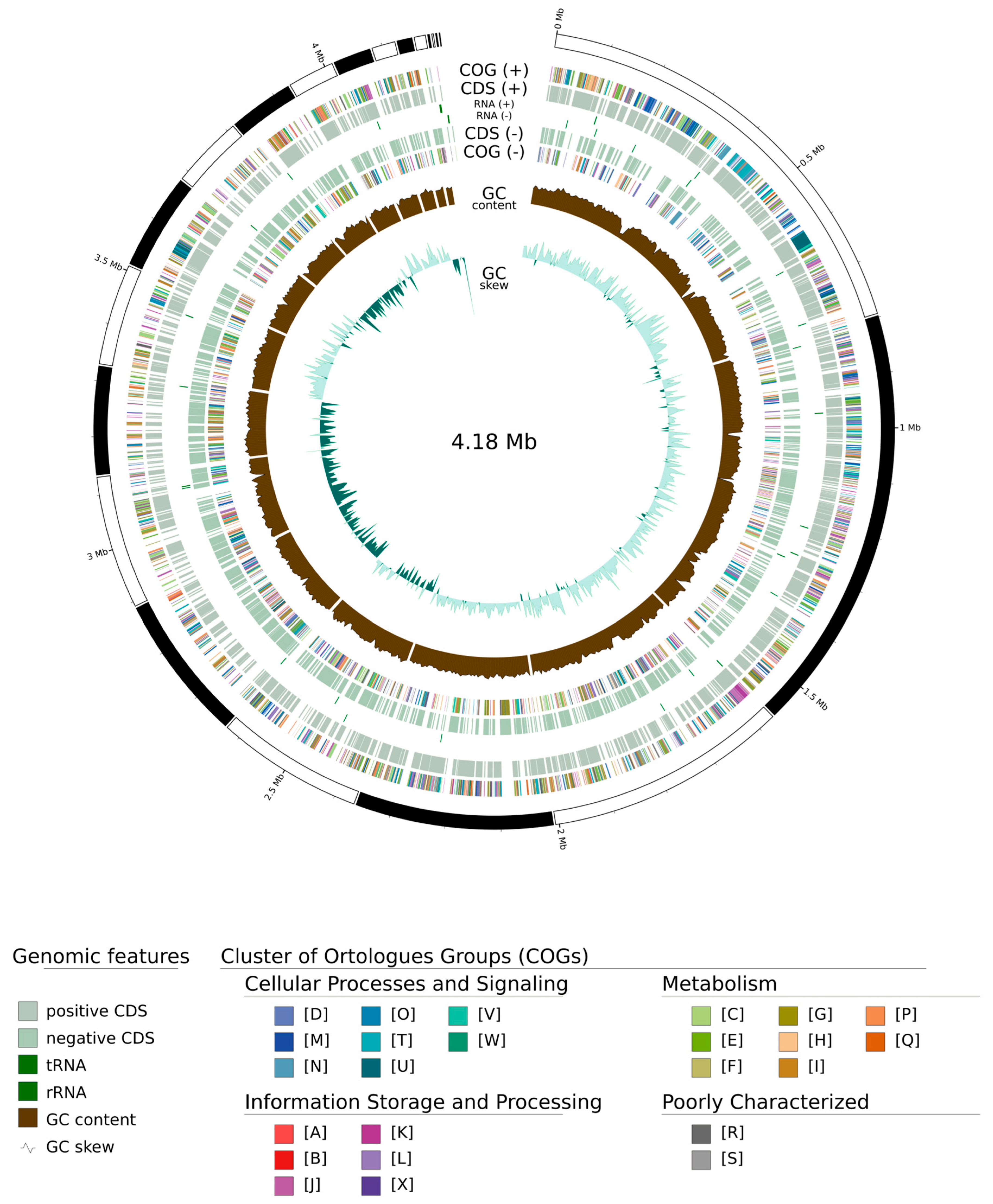 Microorganisms 13 02683 g003