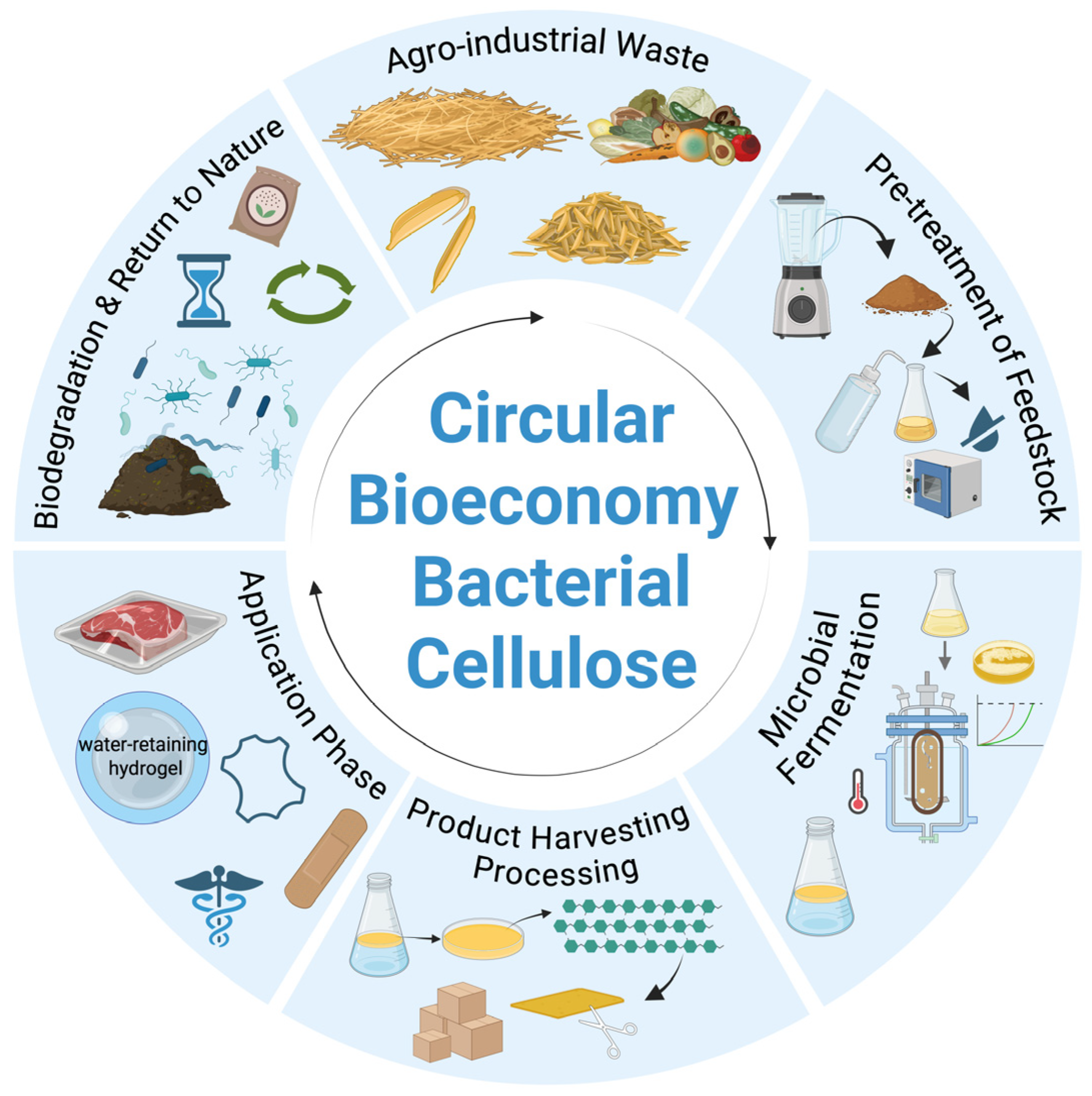 Microorganisms 13 02686 g003 Microorganisms 13 02686 g003